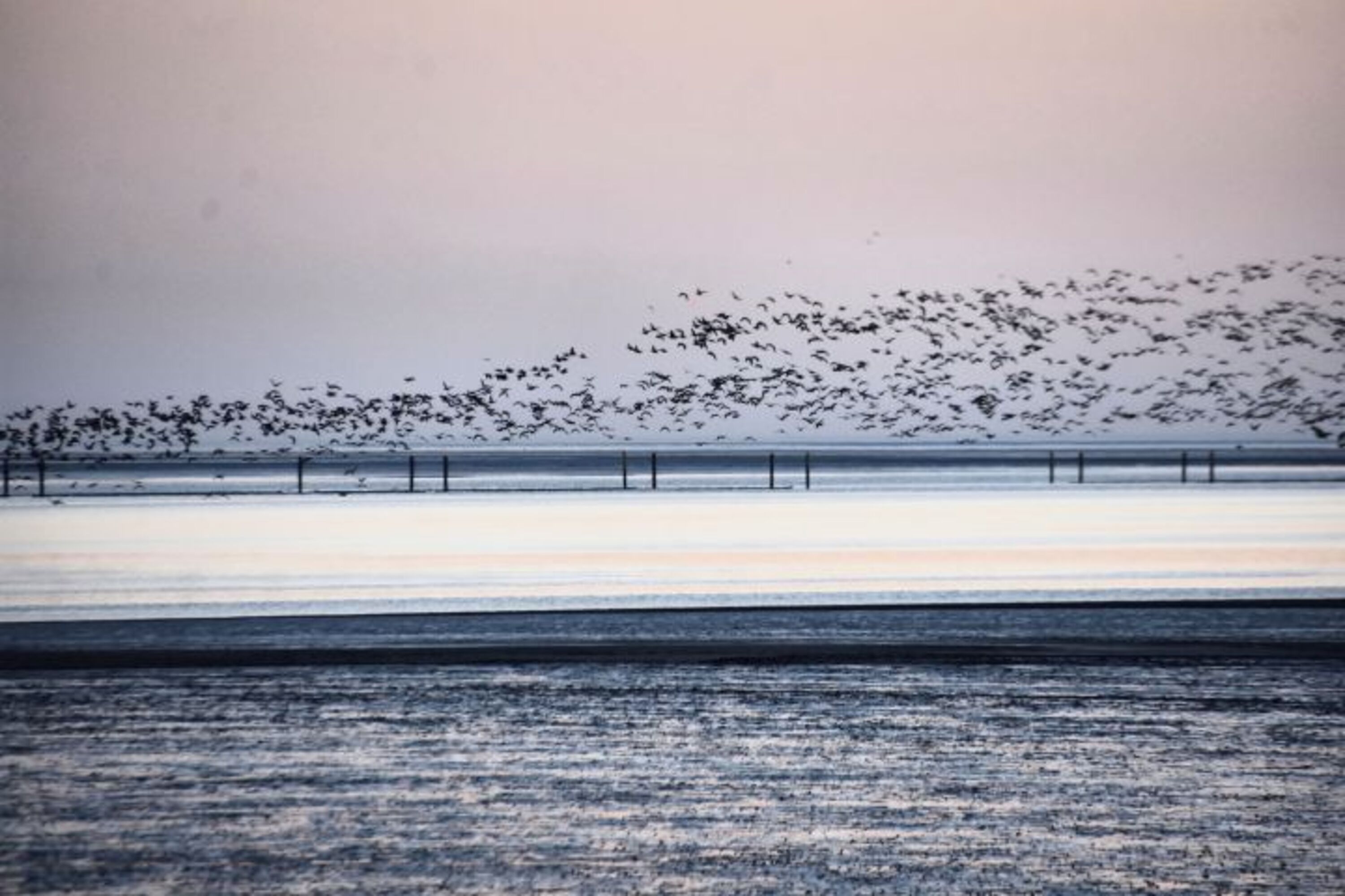 Naturerlebnis Wattenmeer