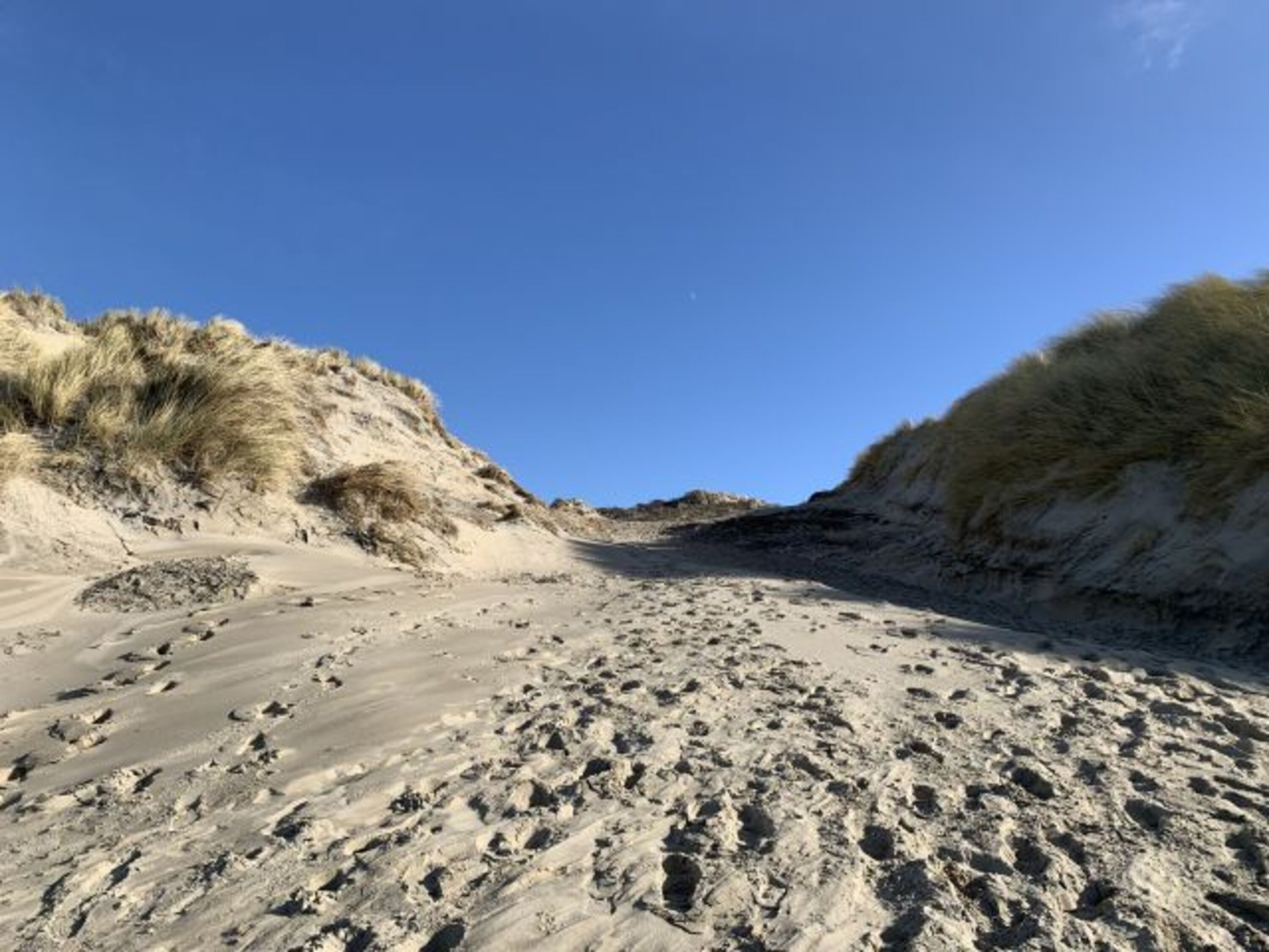 Bild 23