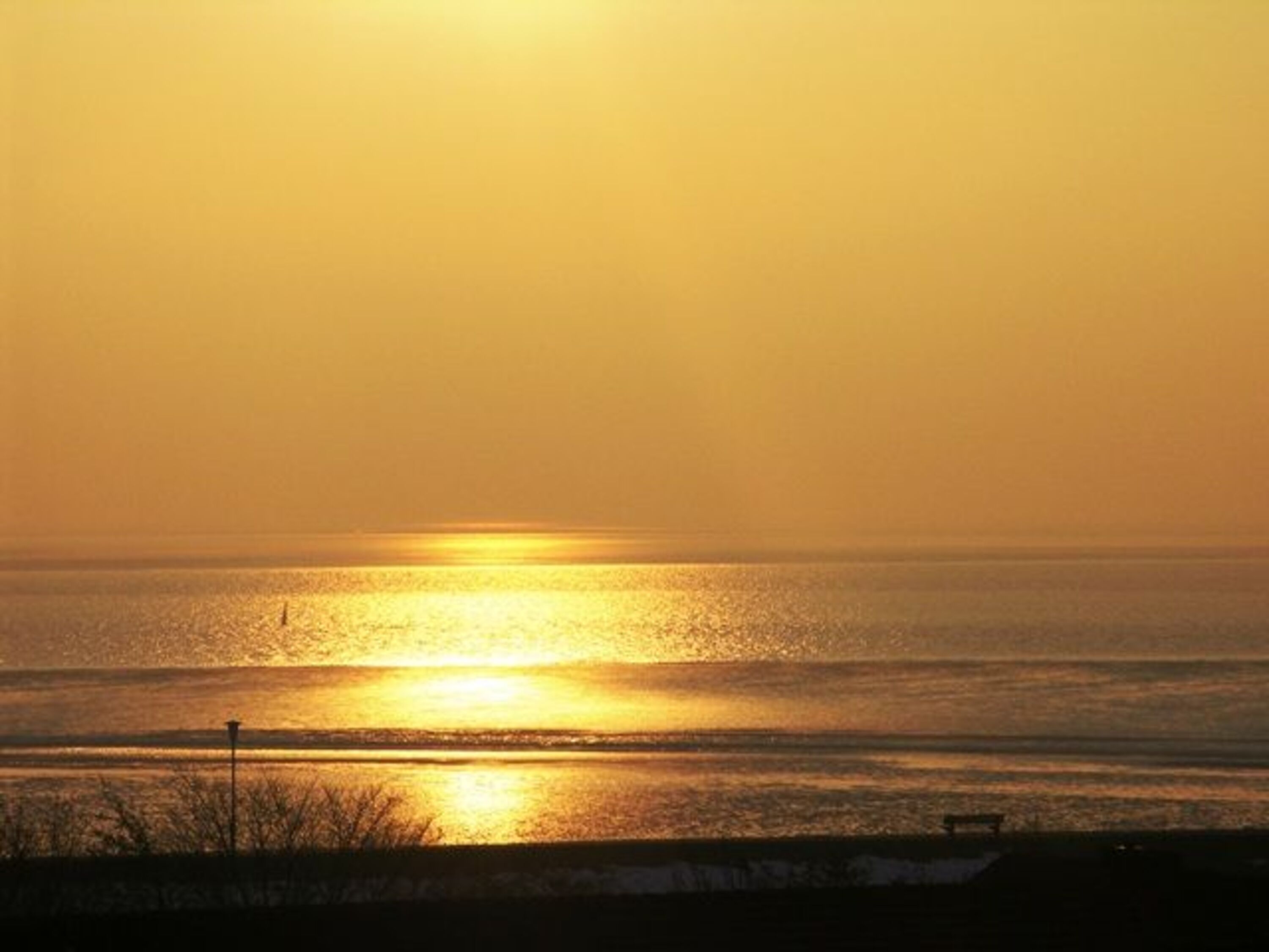 Ausblick