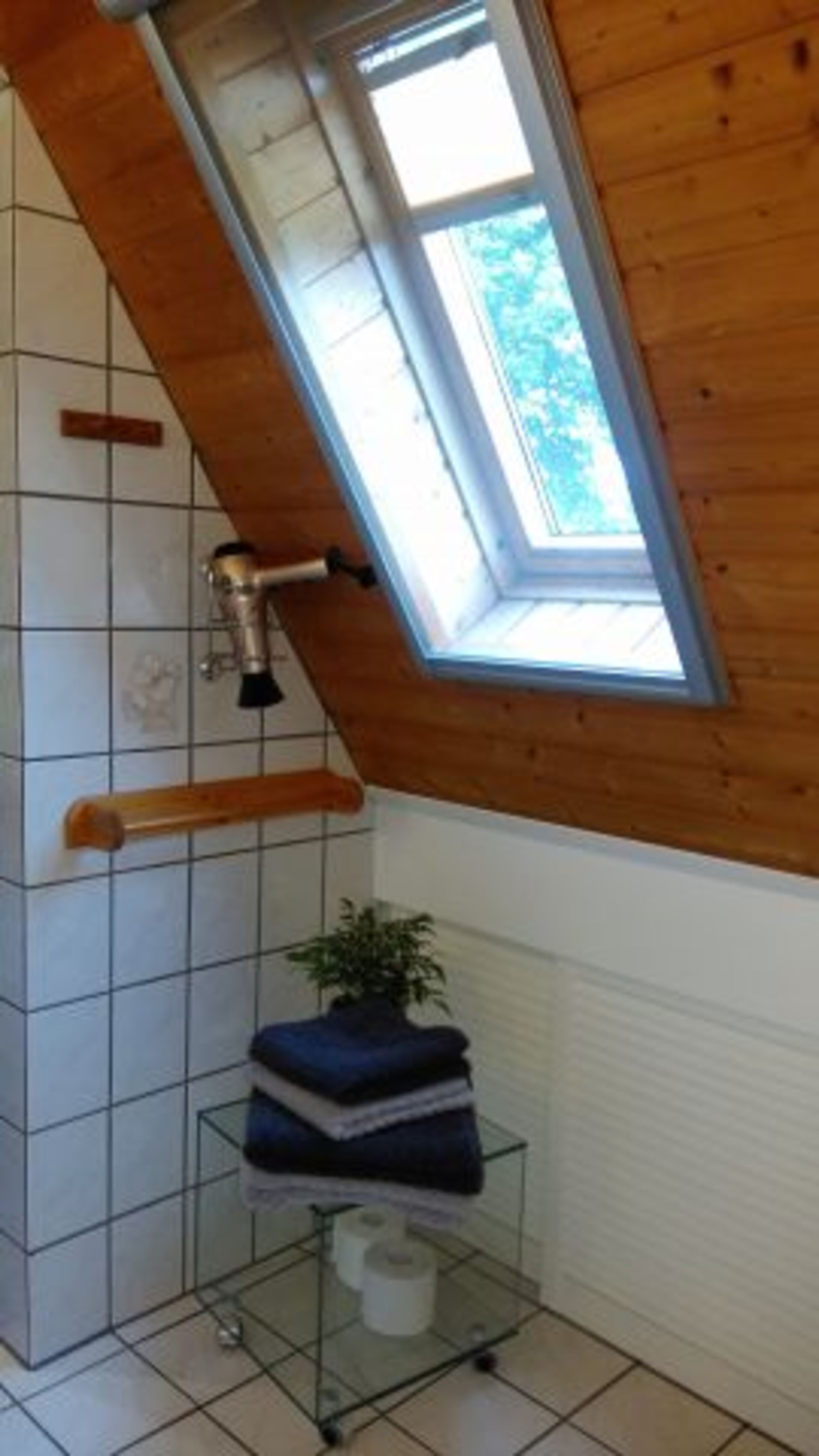 Handtücher/ Fön