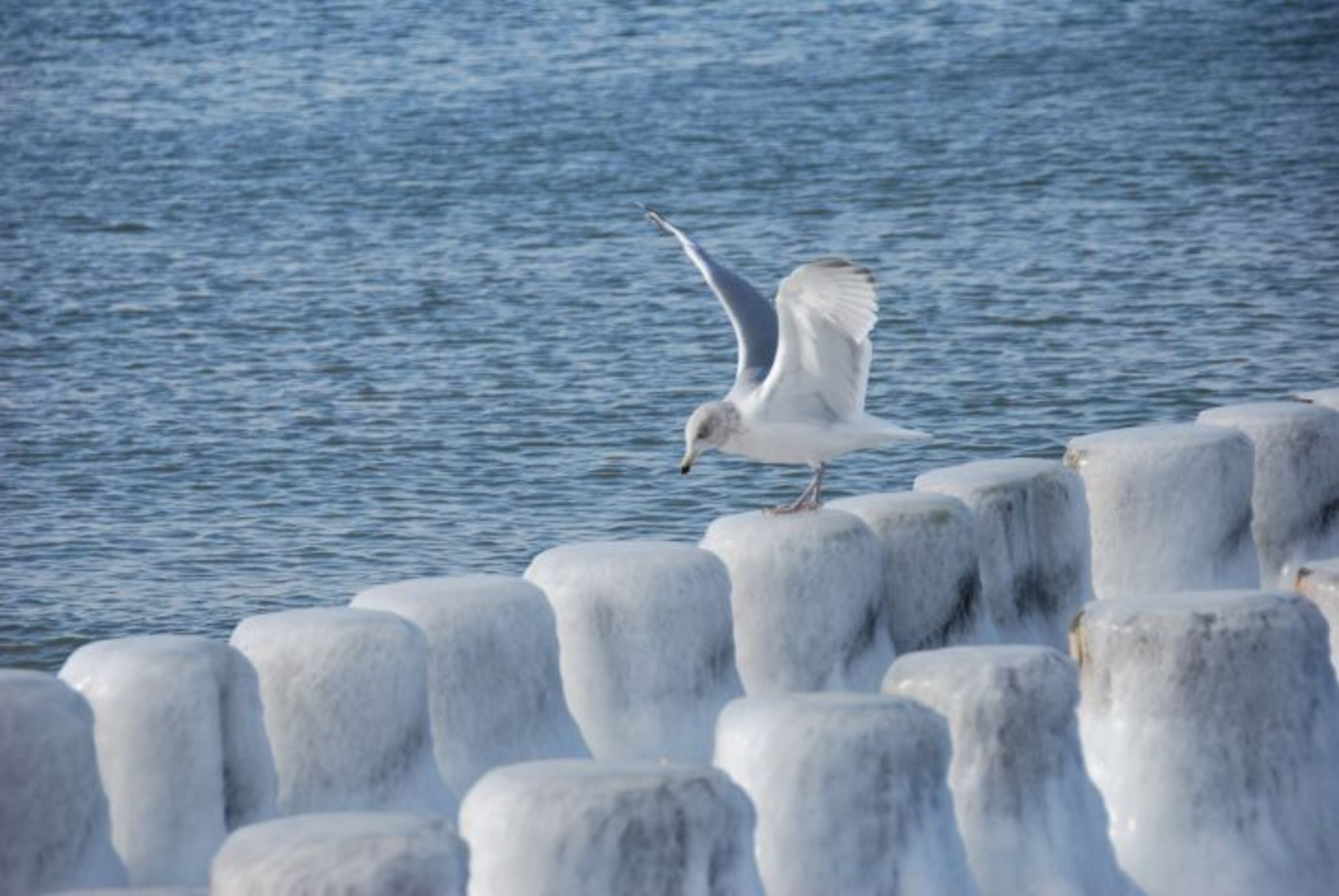 Winter am Meer