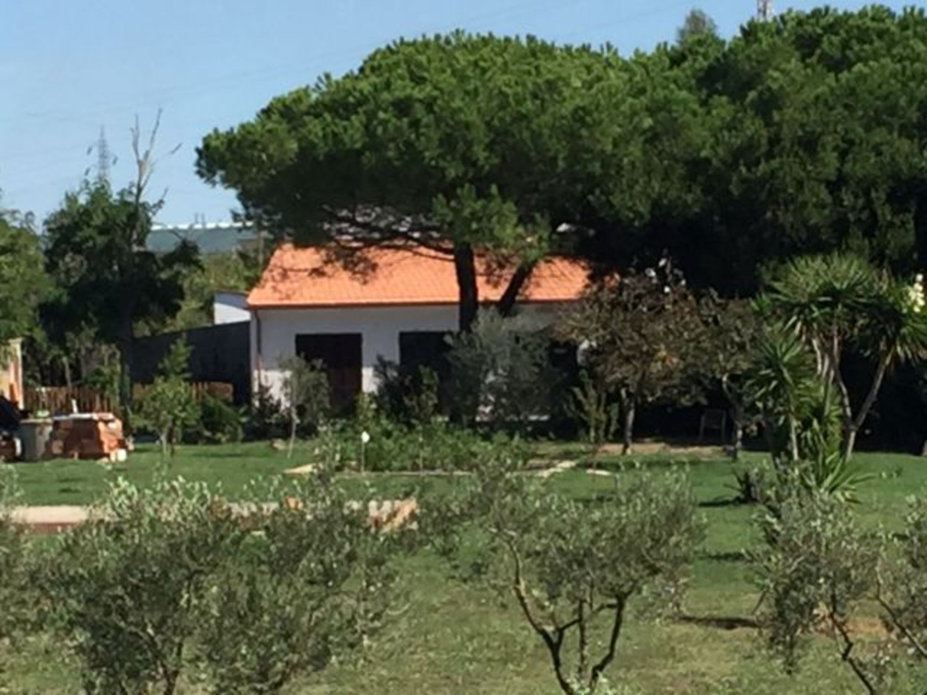 Blick vom Garten auf das Haus