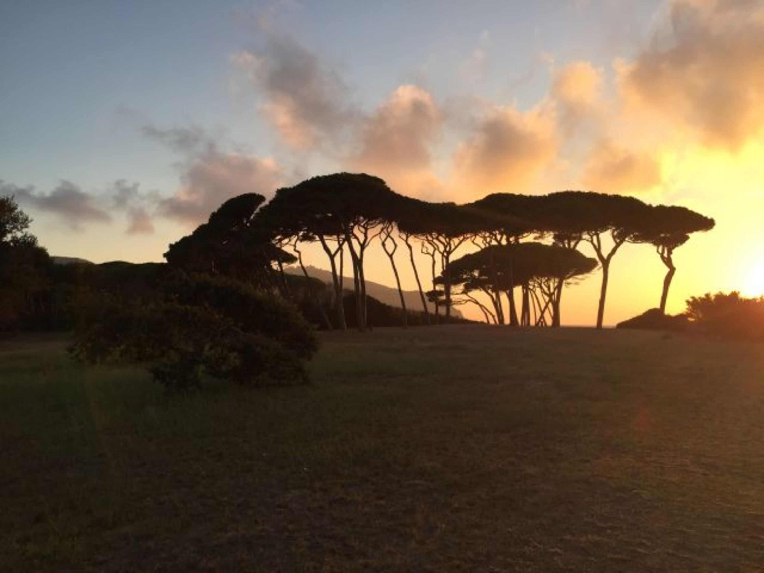 Abendstimmung am Golf von Baratti