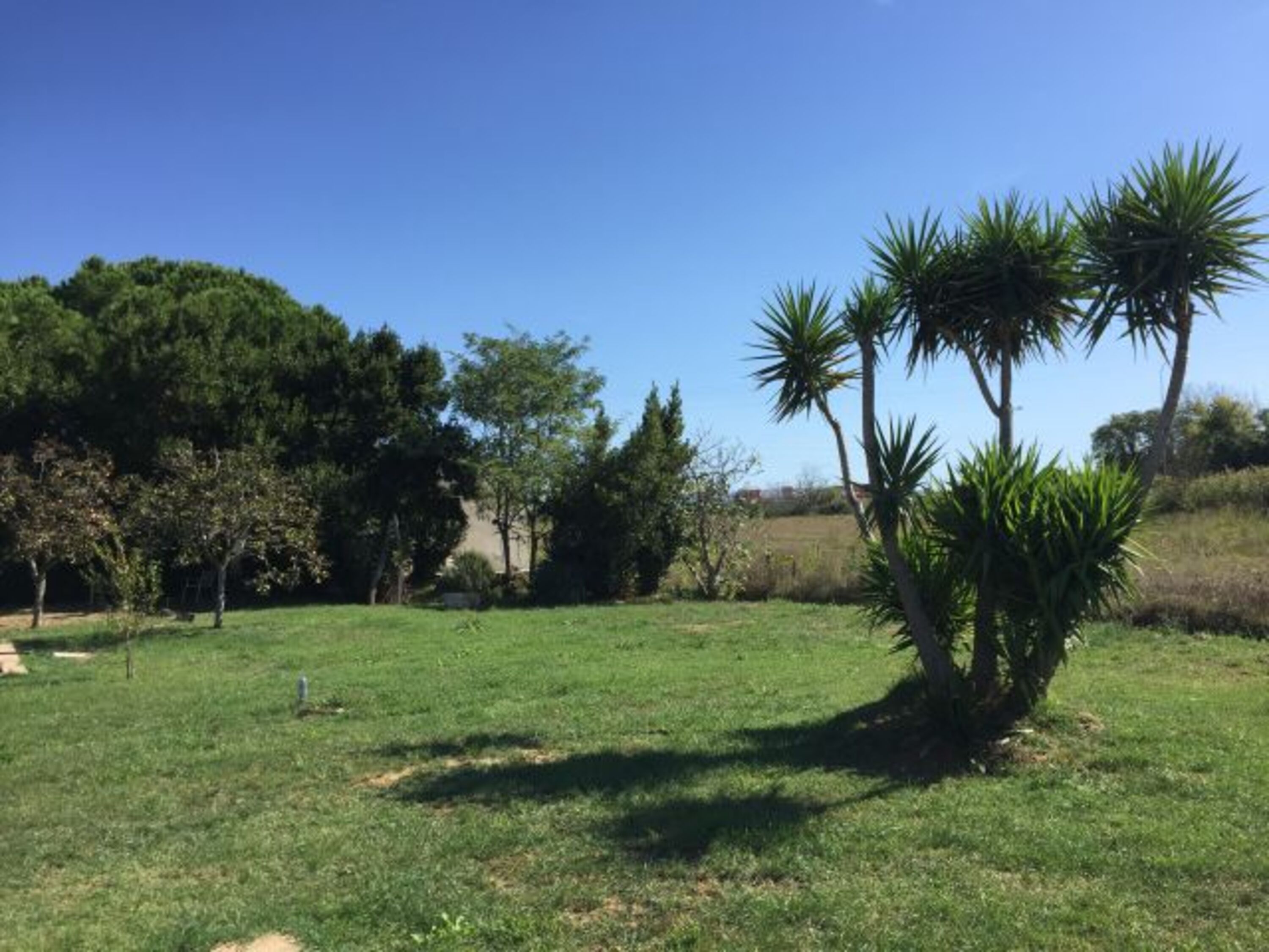 der Garten