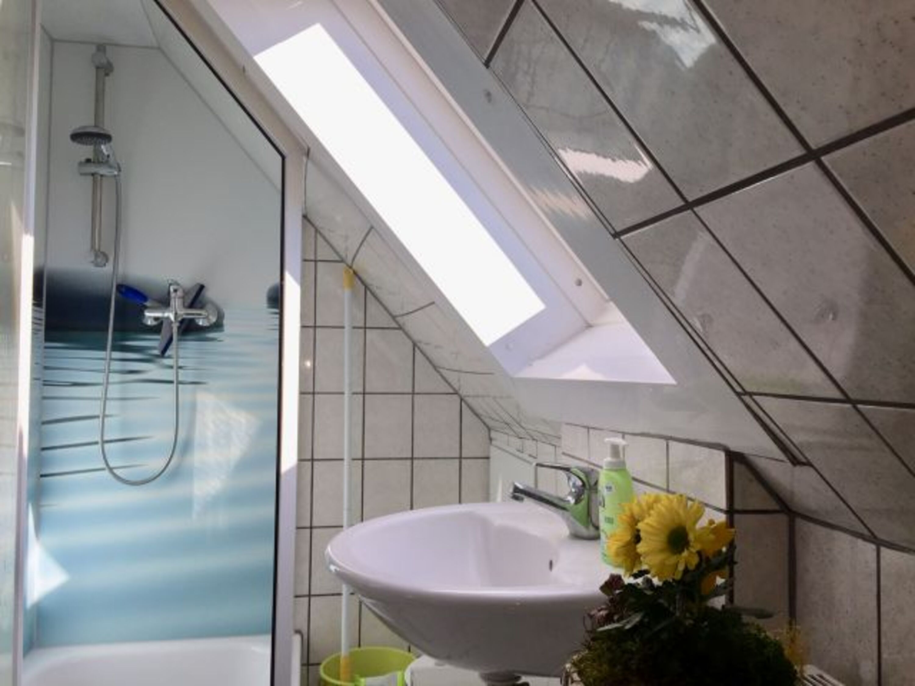 Tageslicht-Duschbad mit WC 