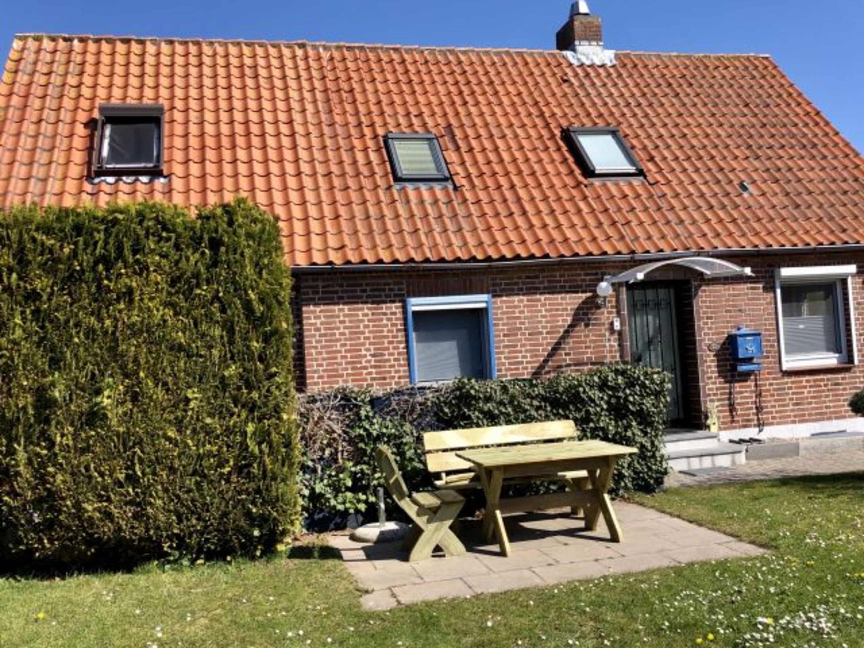 Garten vor dem Haus