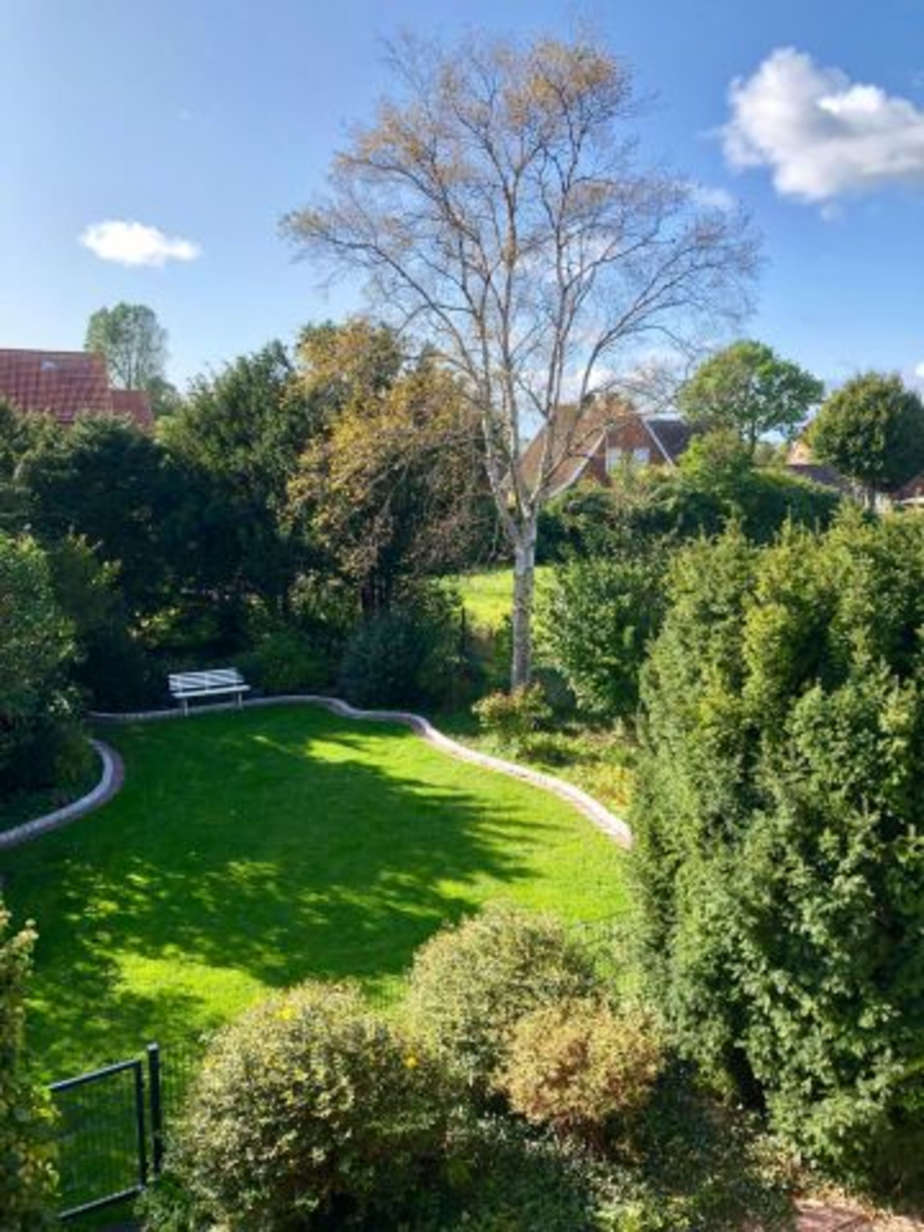 Blick in den Garten 