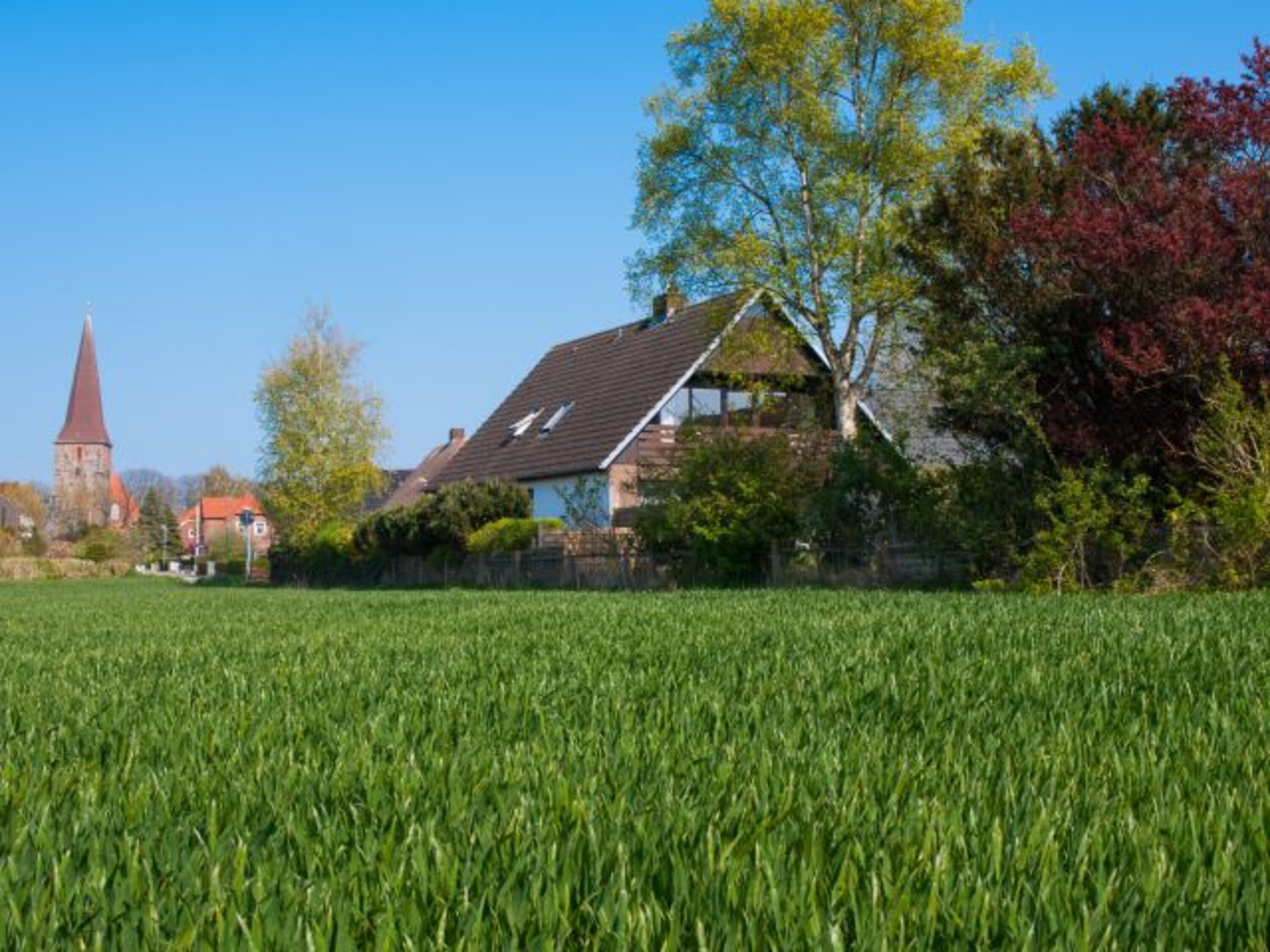 Blick vom Feld zum Haus 