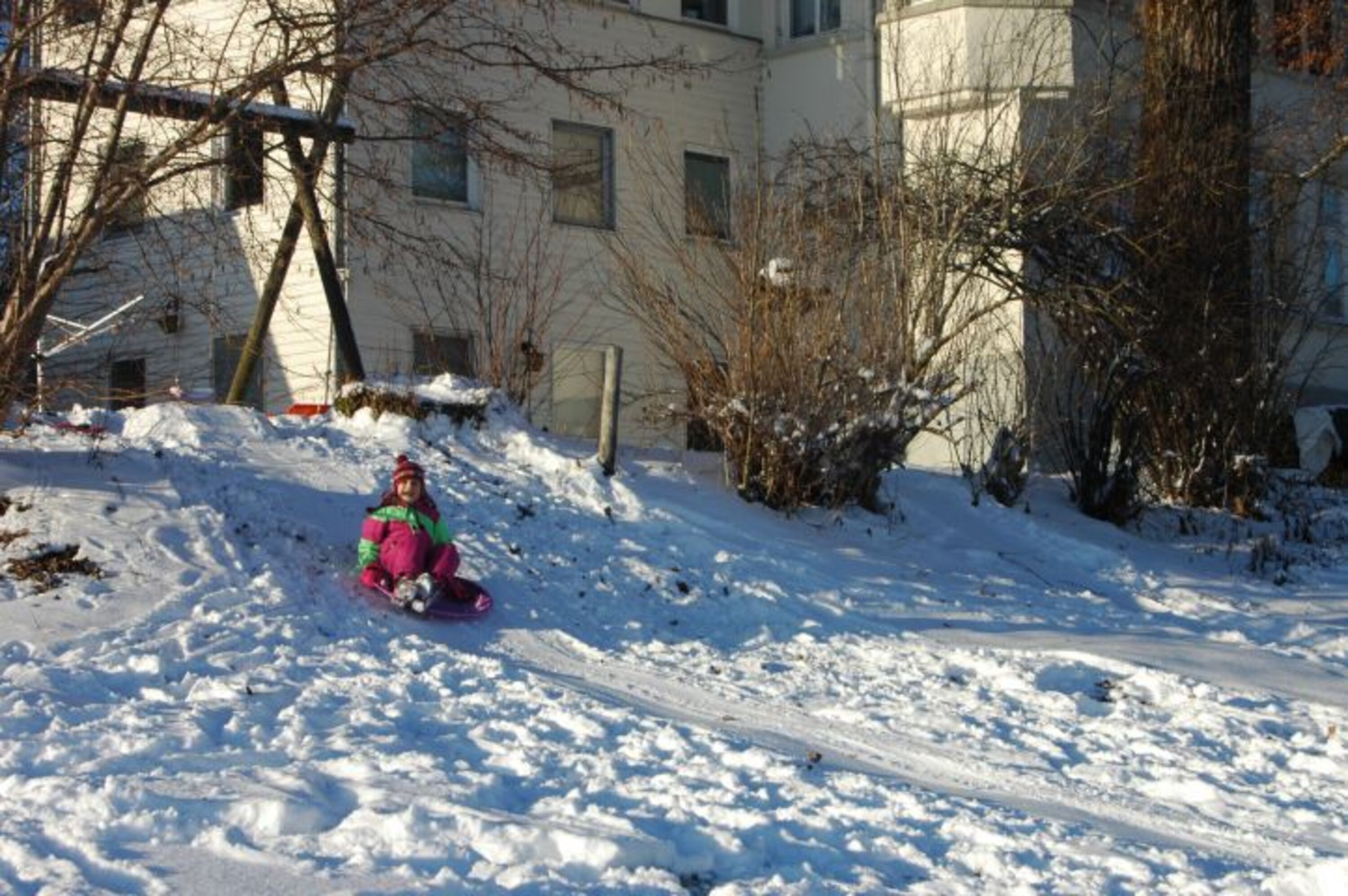 Winter 2019