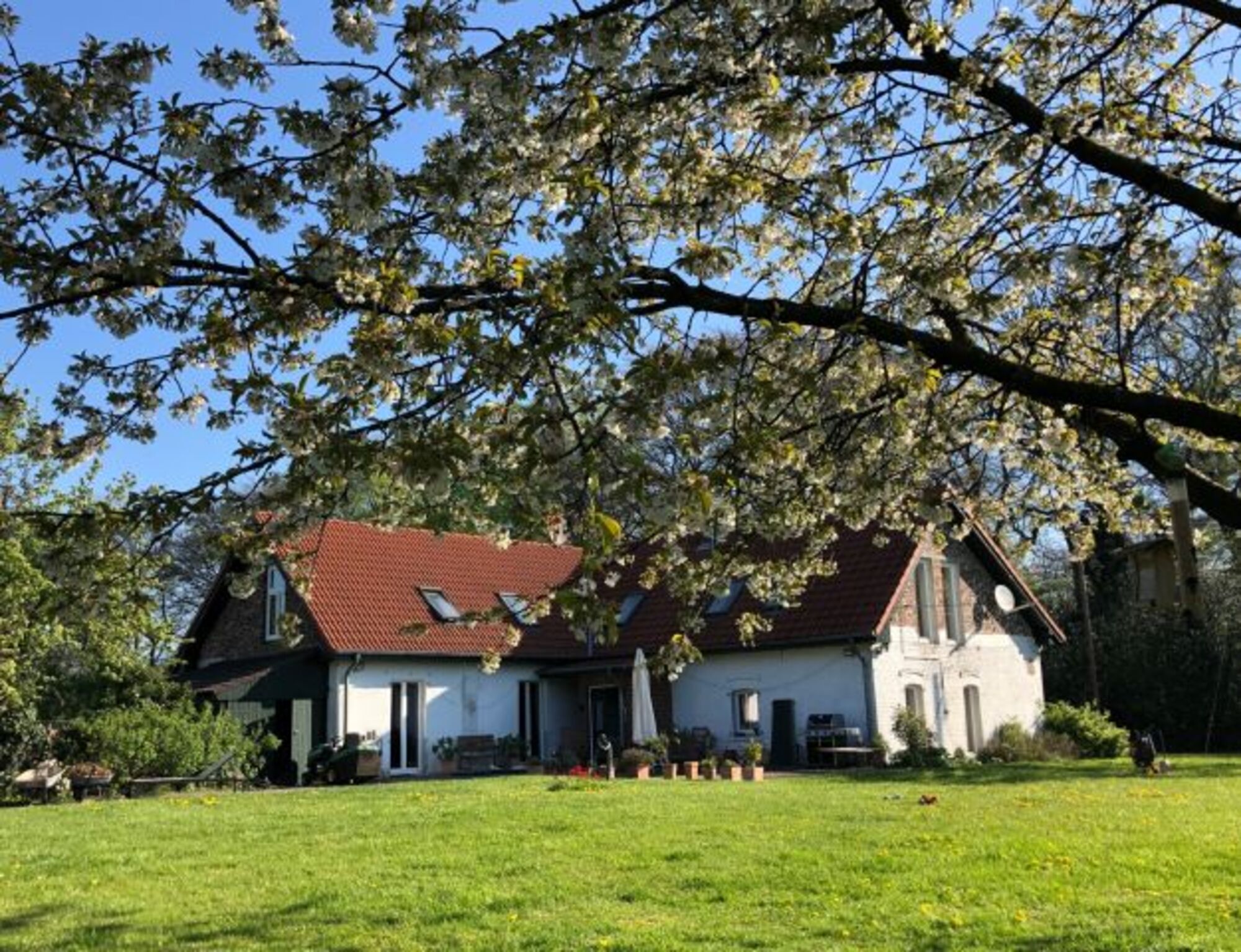 Ferienwohnung ID 13438