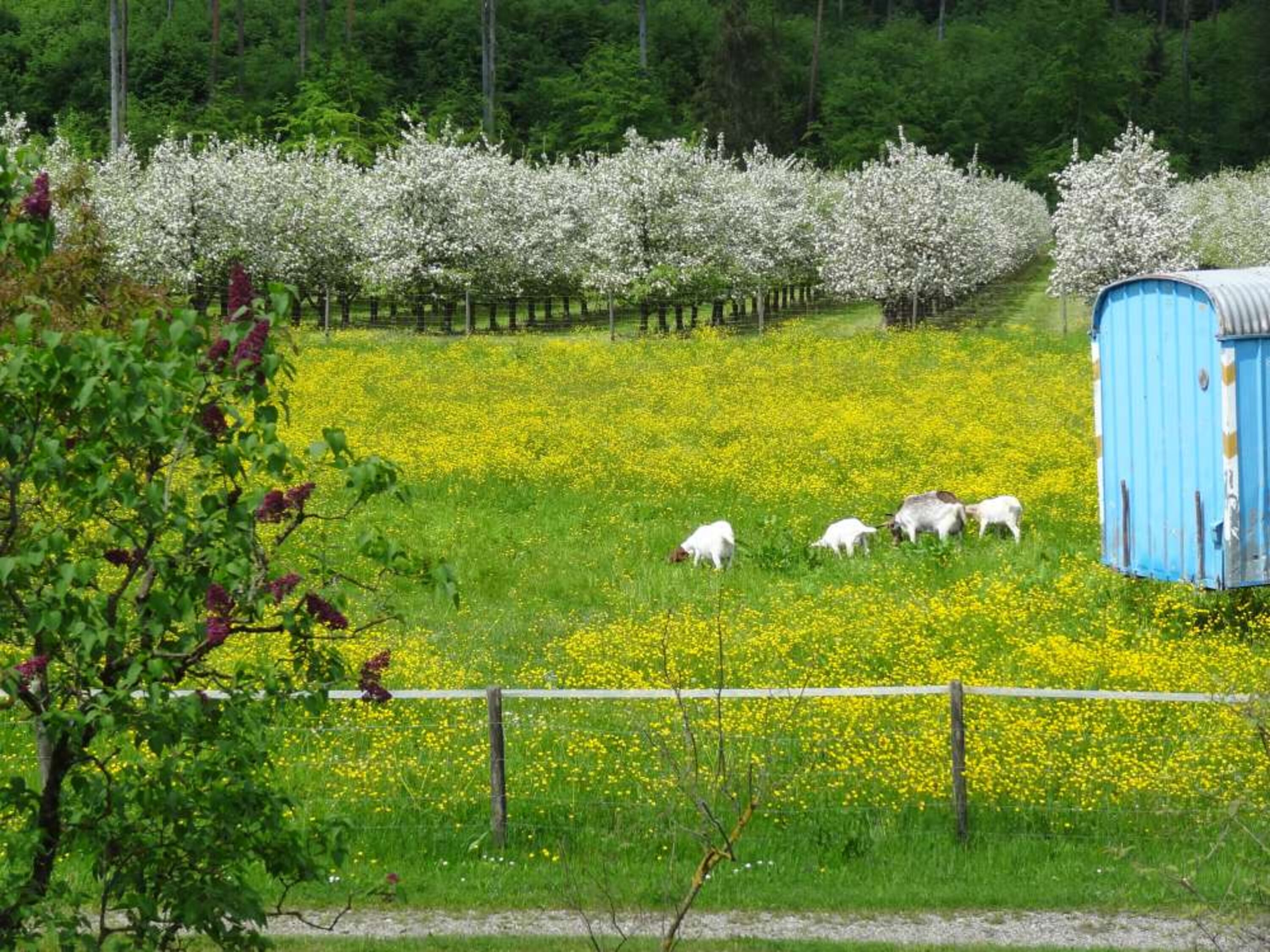 Frühling im Umland
