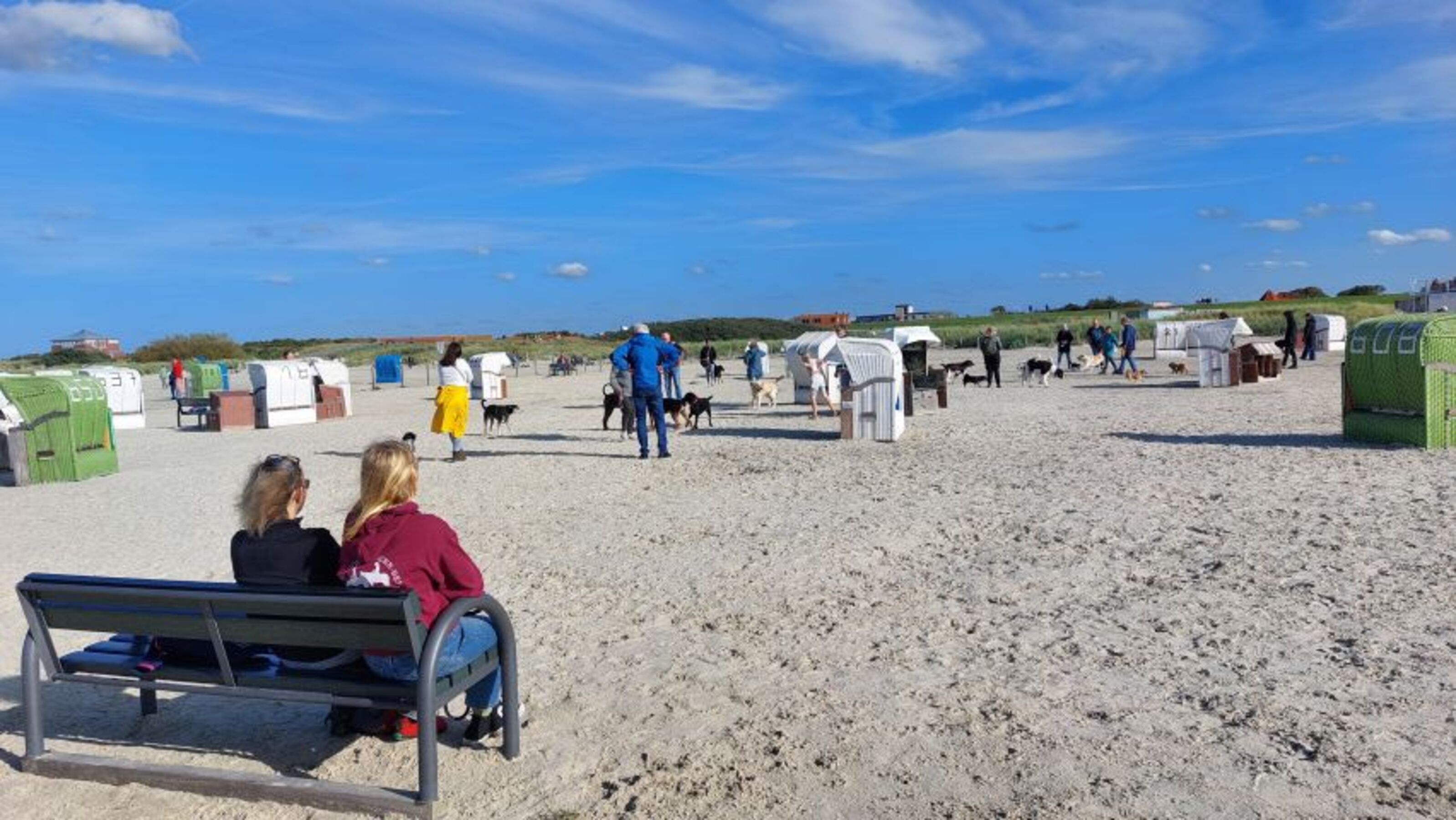 Hundestrand