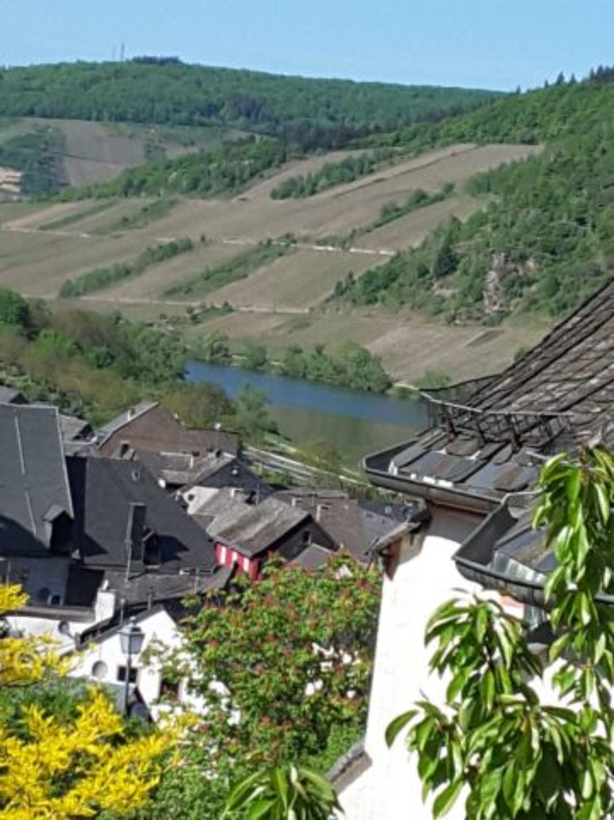 Ferienwohnung ID 13460