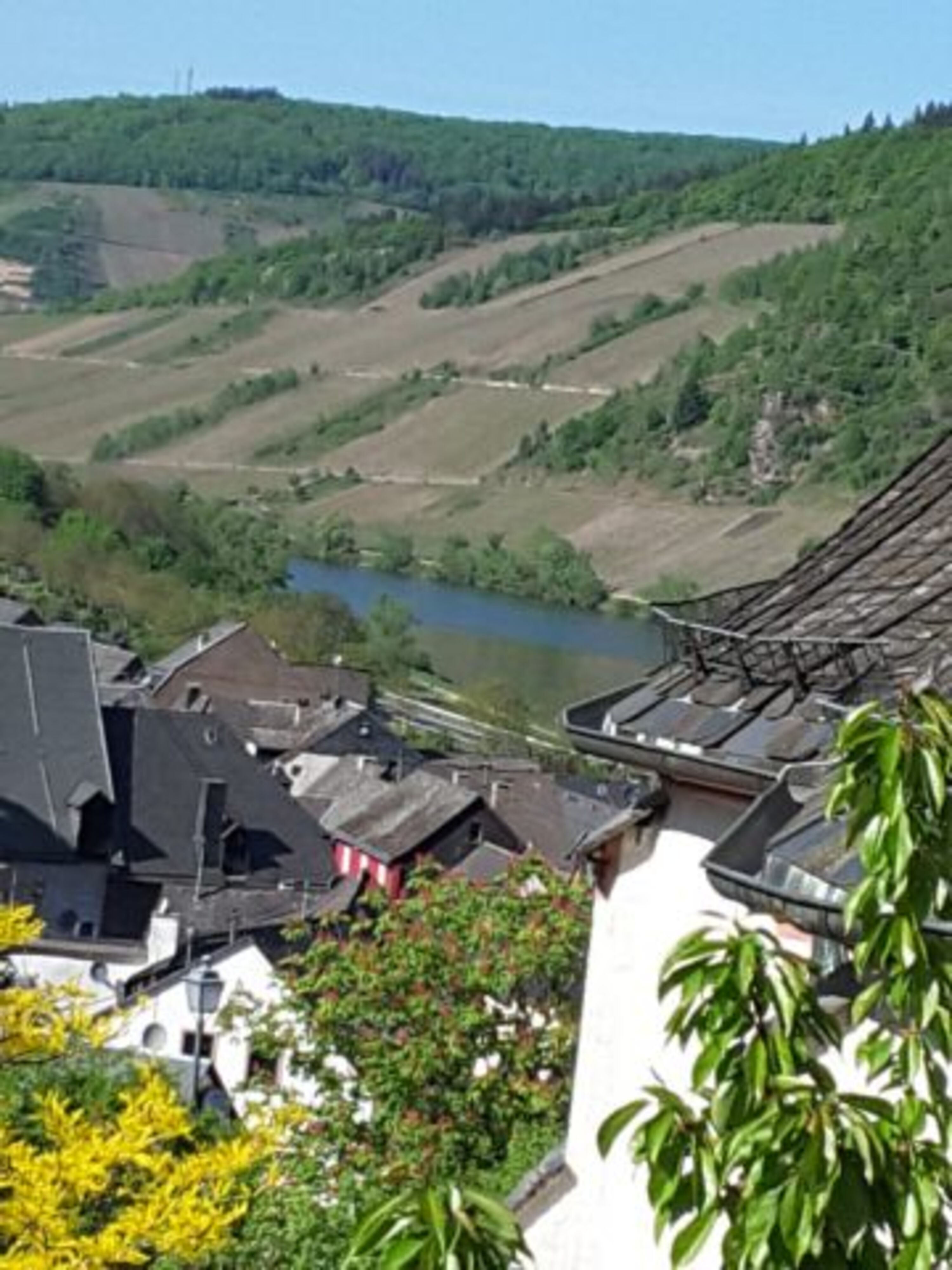 Blick auf die Mosel