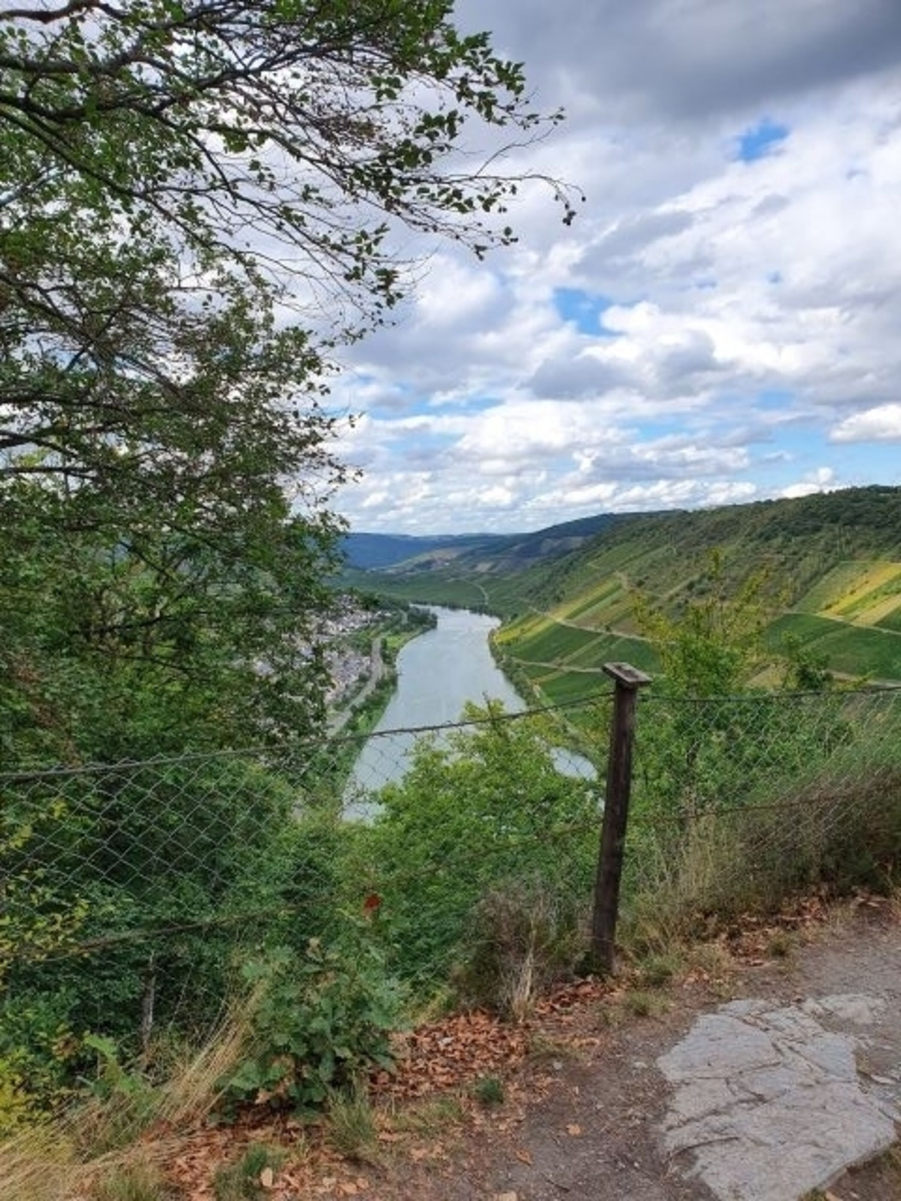 Wanderweg Briedeler Schweiz 