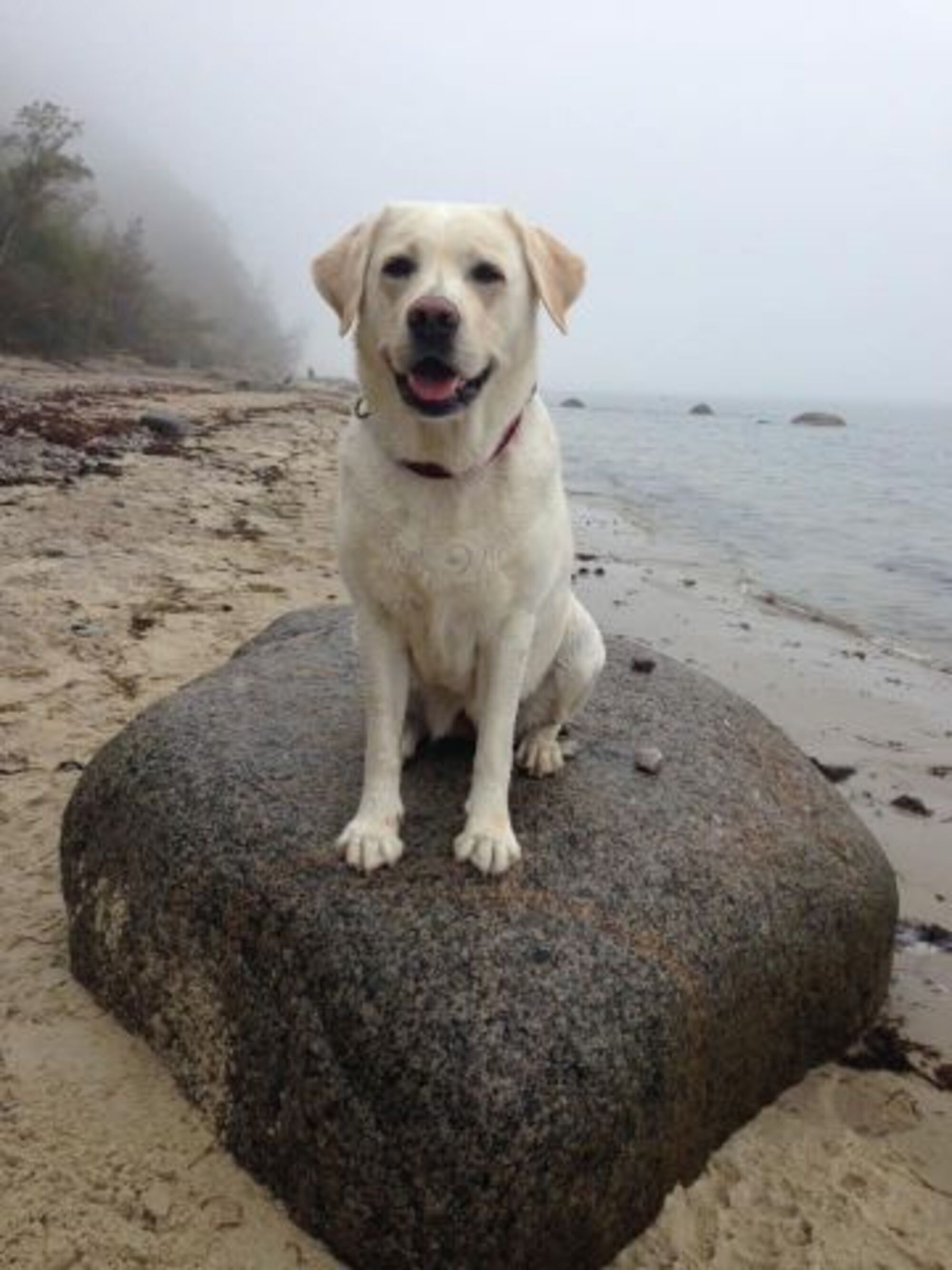 Ferienwohnung ID 13464