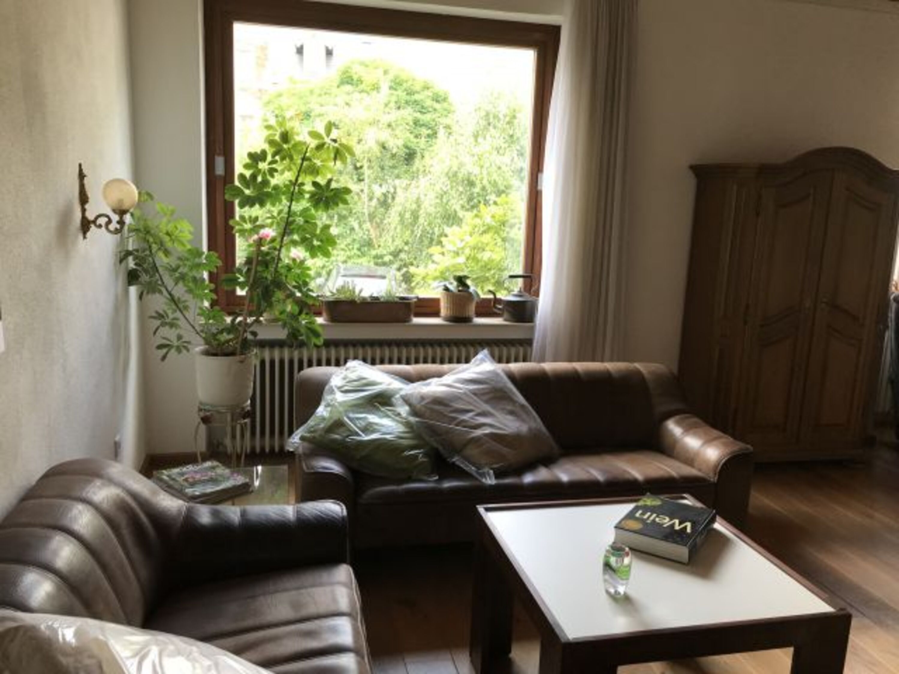 Blick aus dem Wohnzimmer