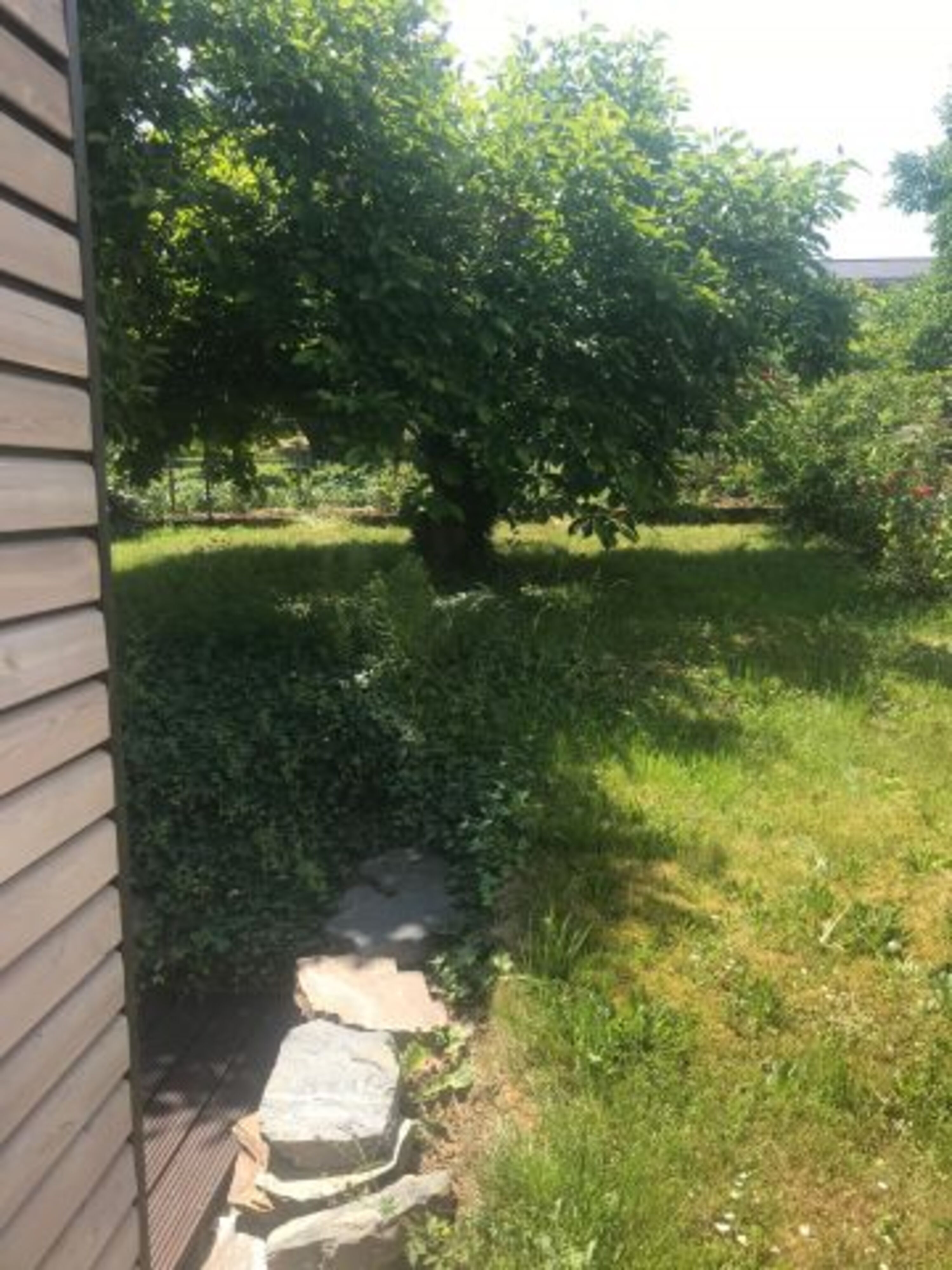Gartenanteil der Ferienwohnung mit Abgang zur Terrasse