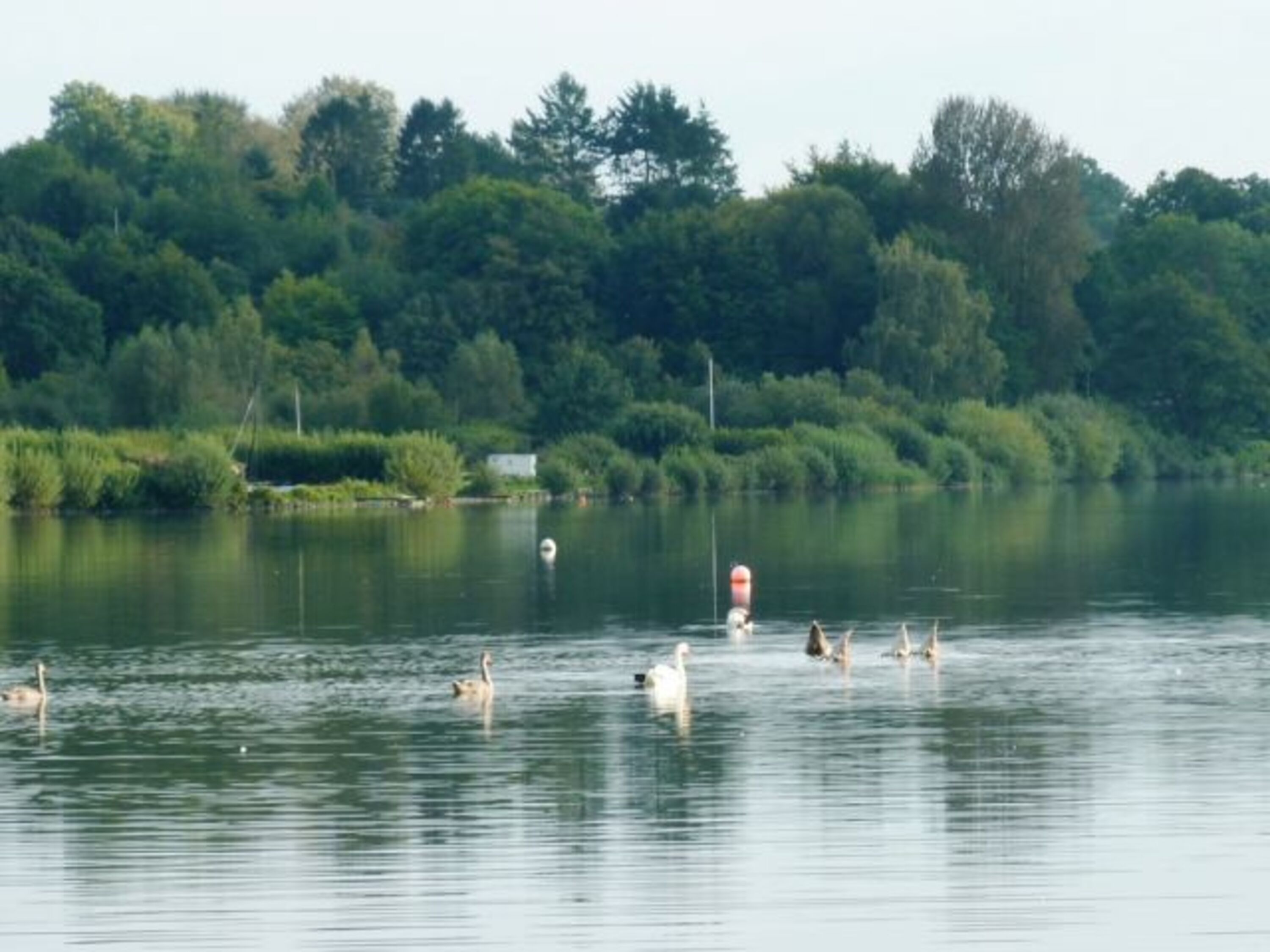 Bild 18