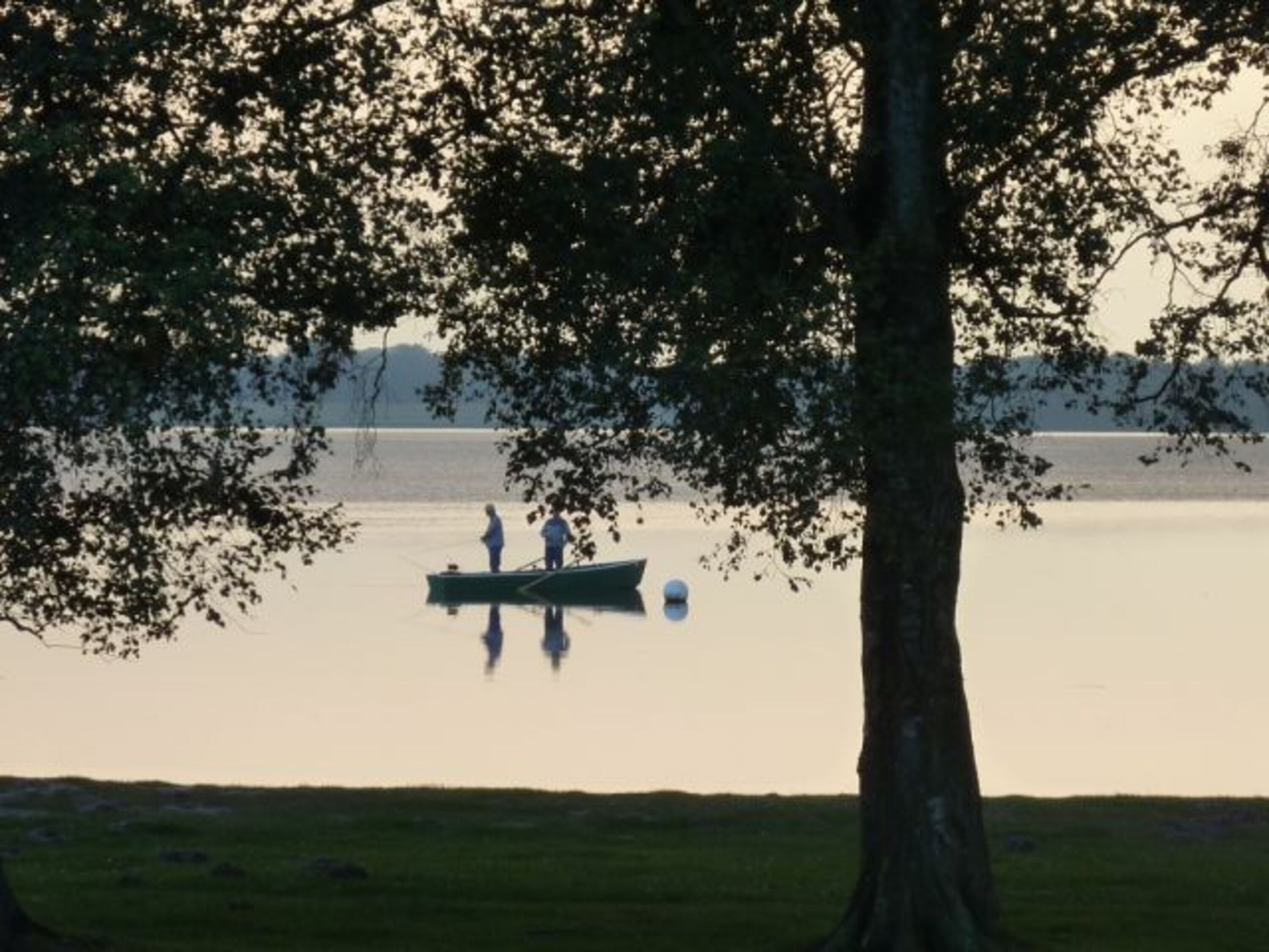 Bild 19