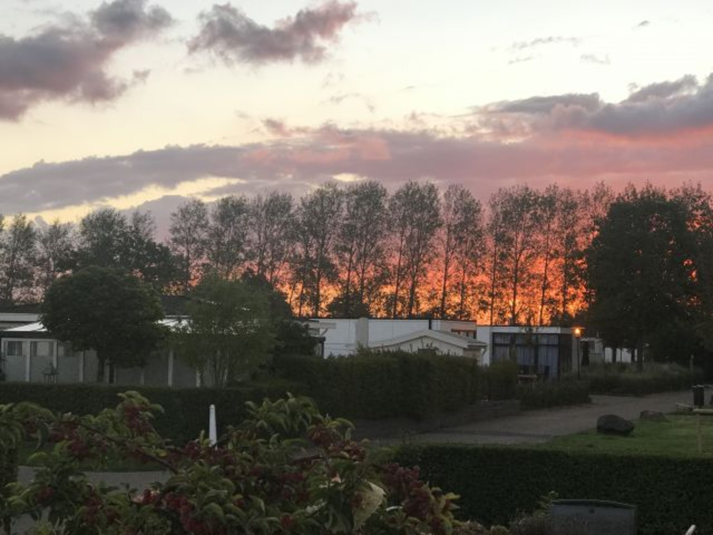 Morgenstimmung auf der Terrasse