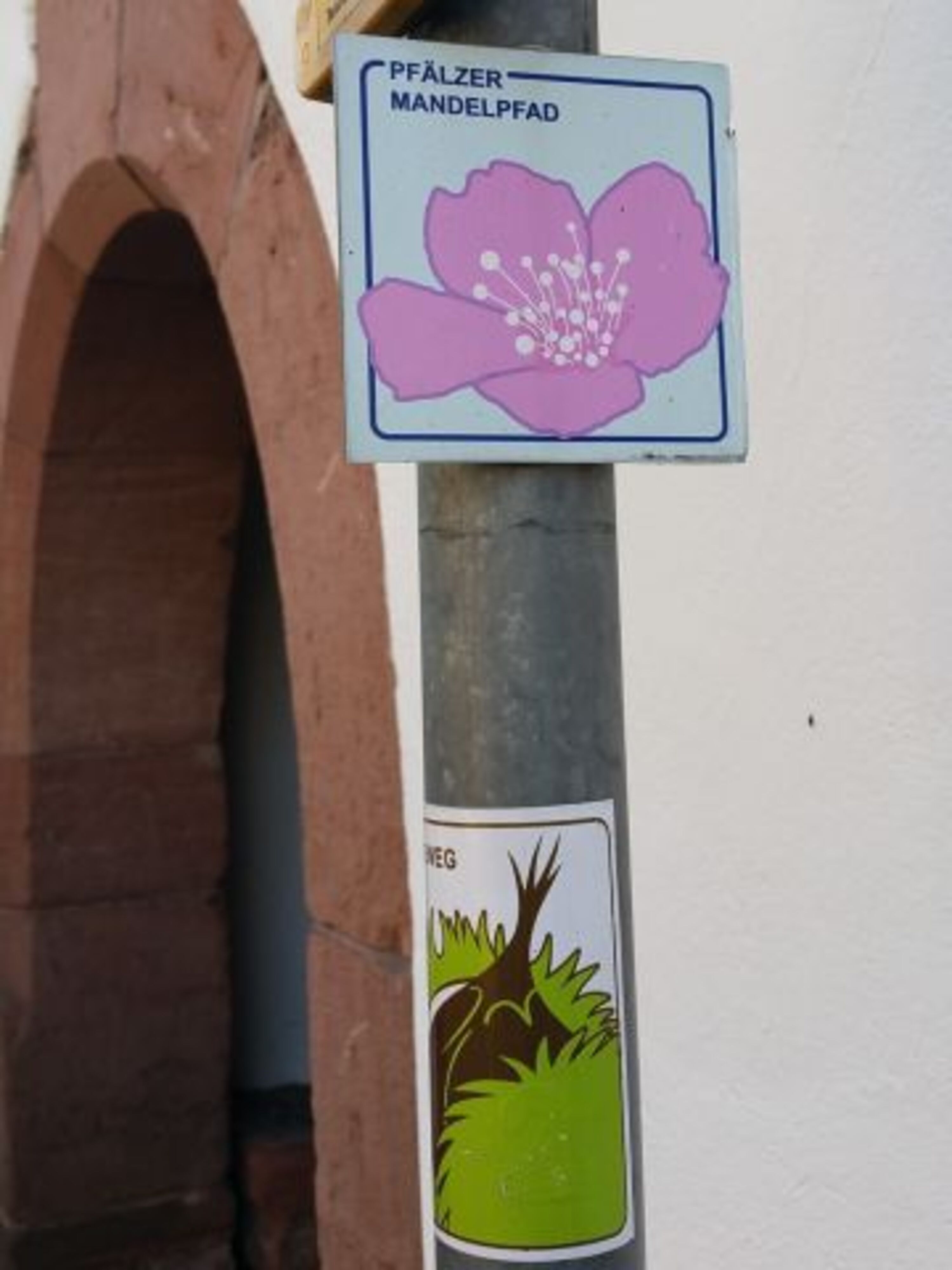 Pfälzer Mandelpfad