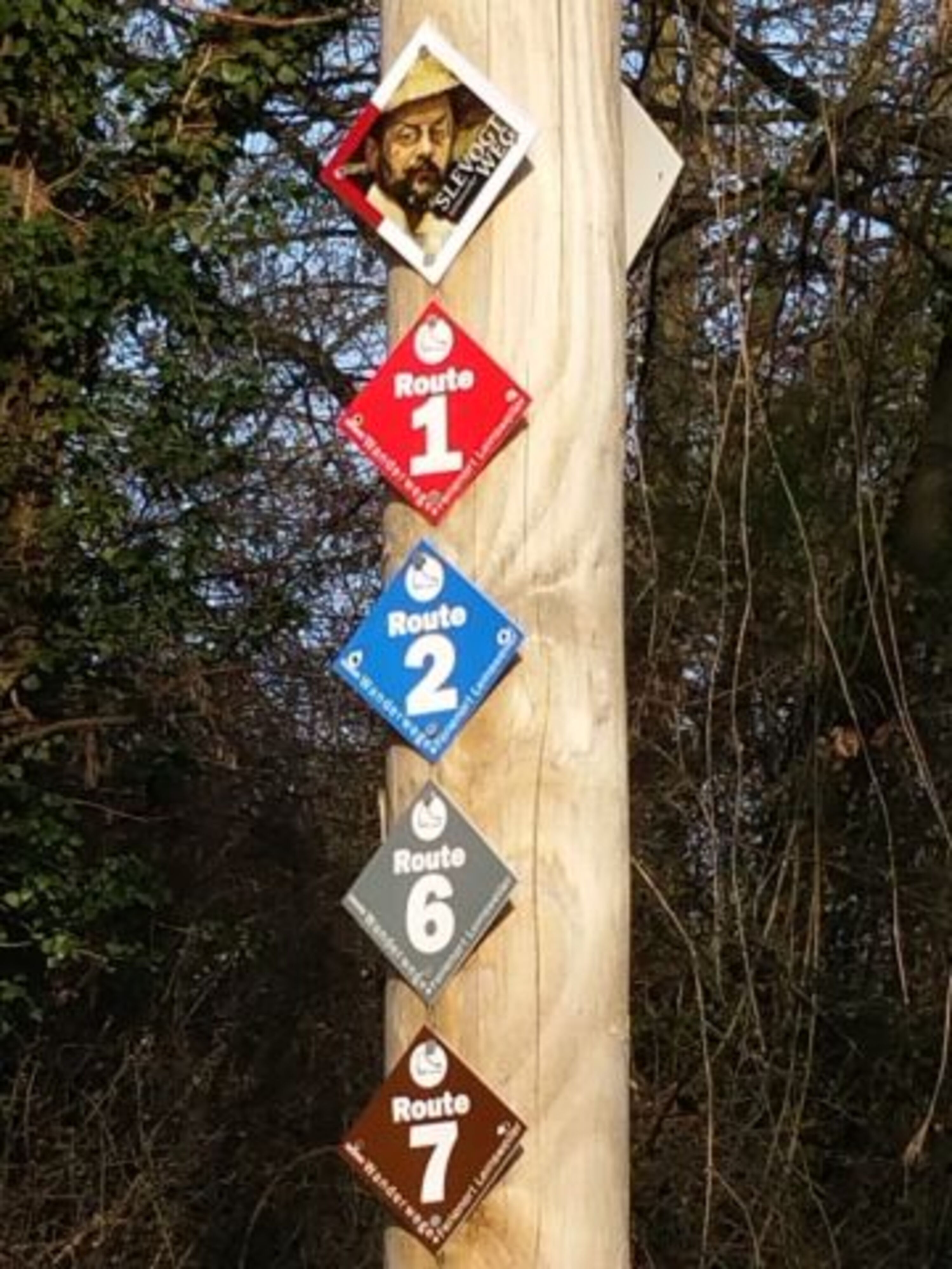 Viele tolle Wanderwege u.a. der Slevogtweg