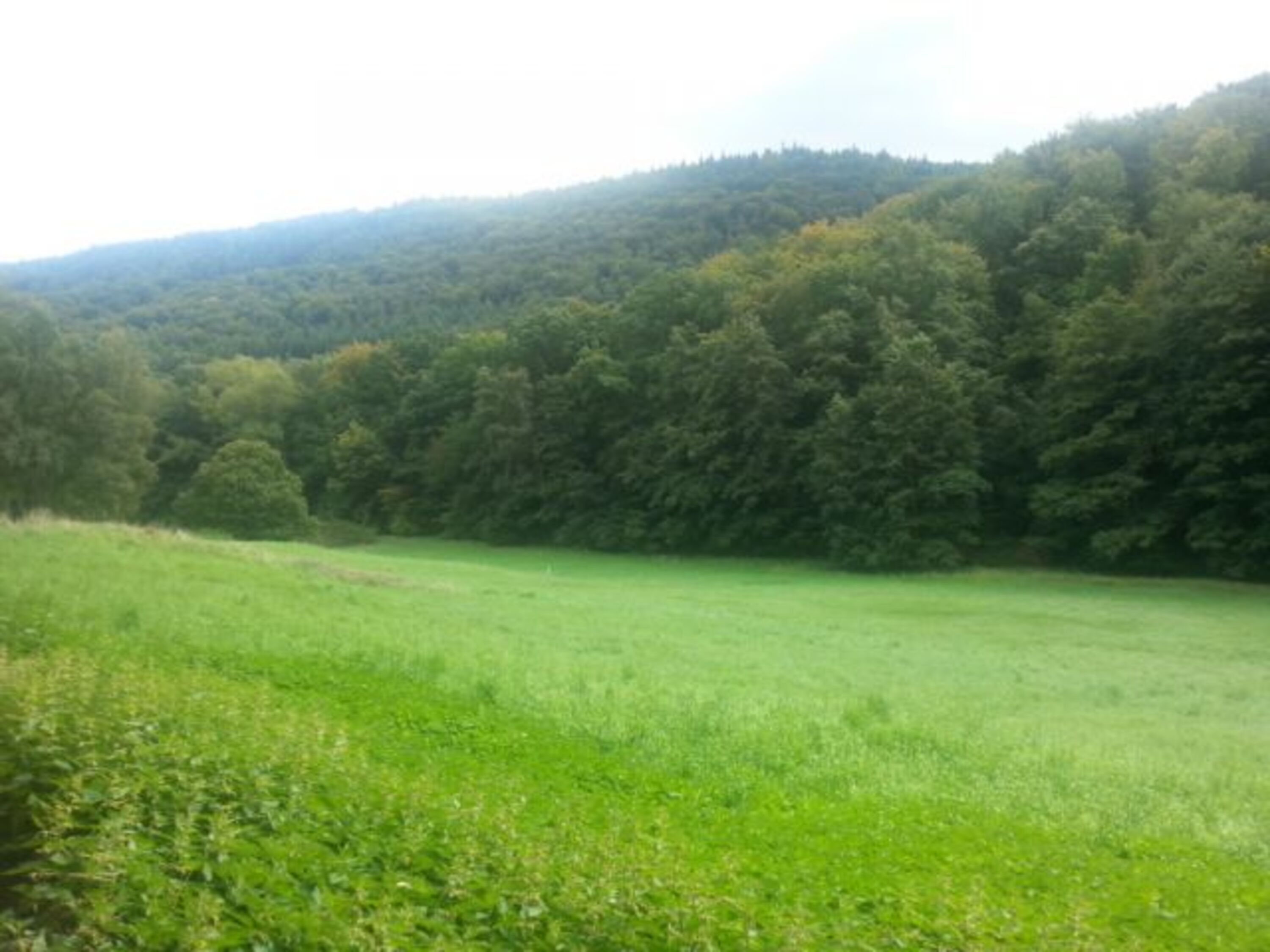 Tolle Wander-und Spaziergangwege