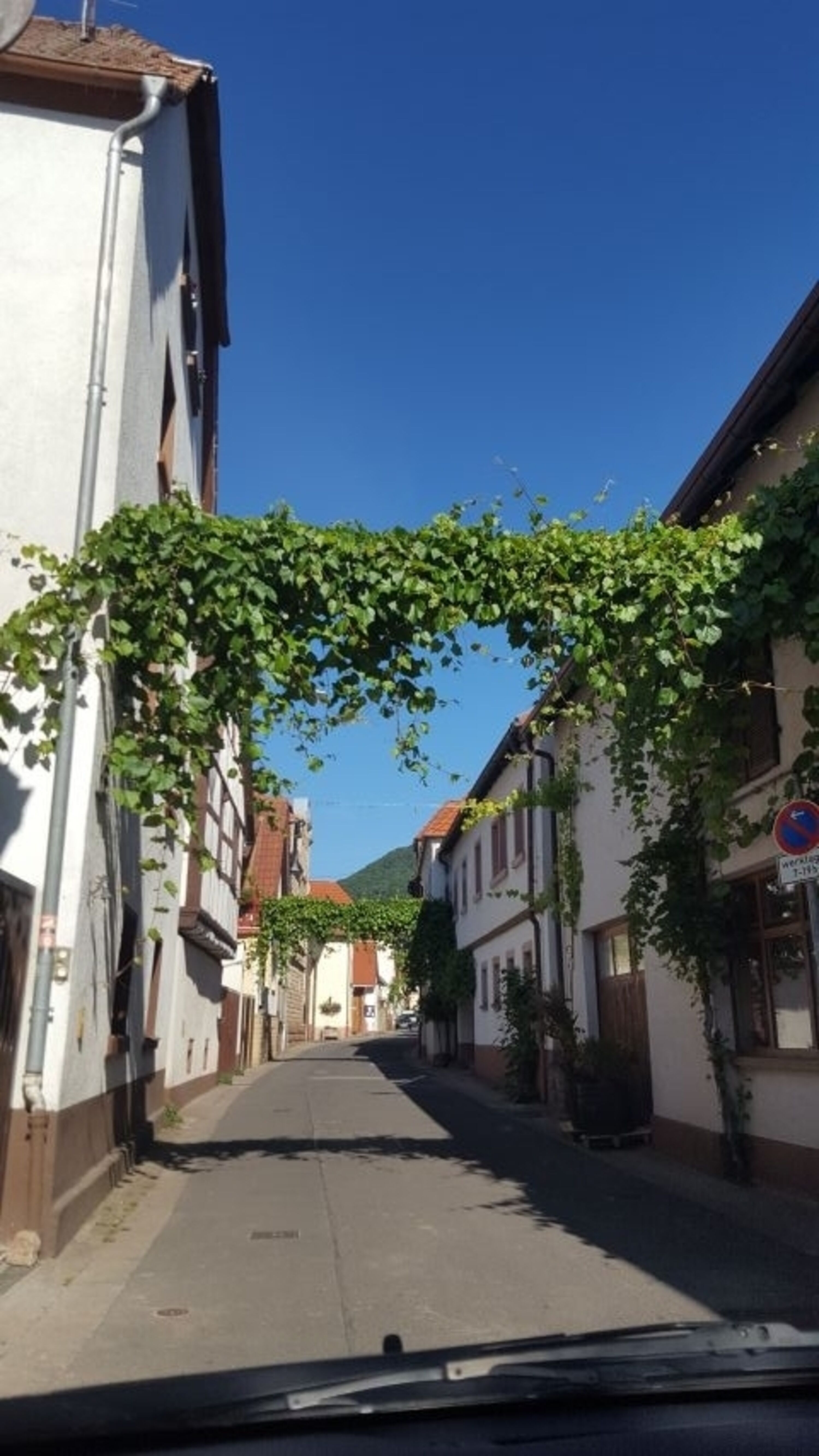 Zufahrtsstraße zum NurDachHaus