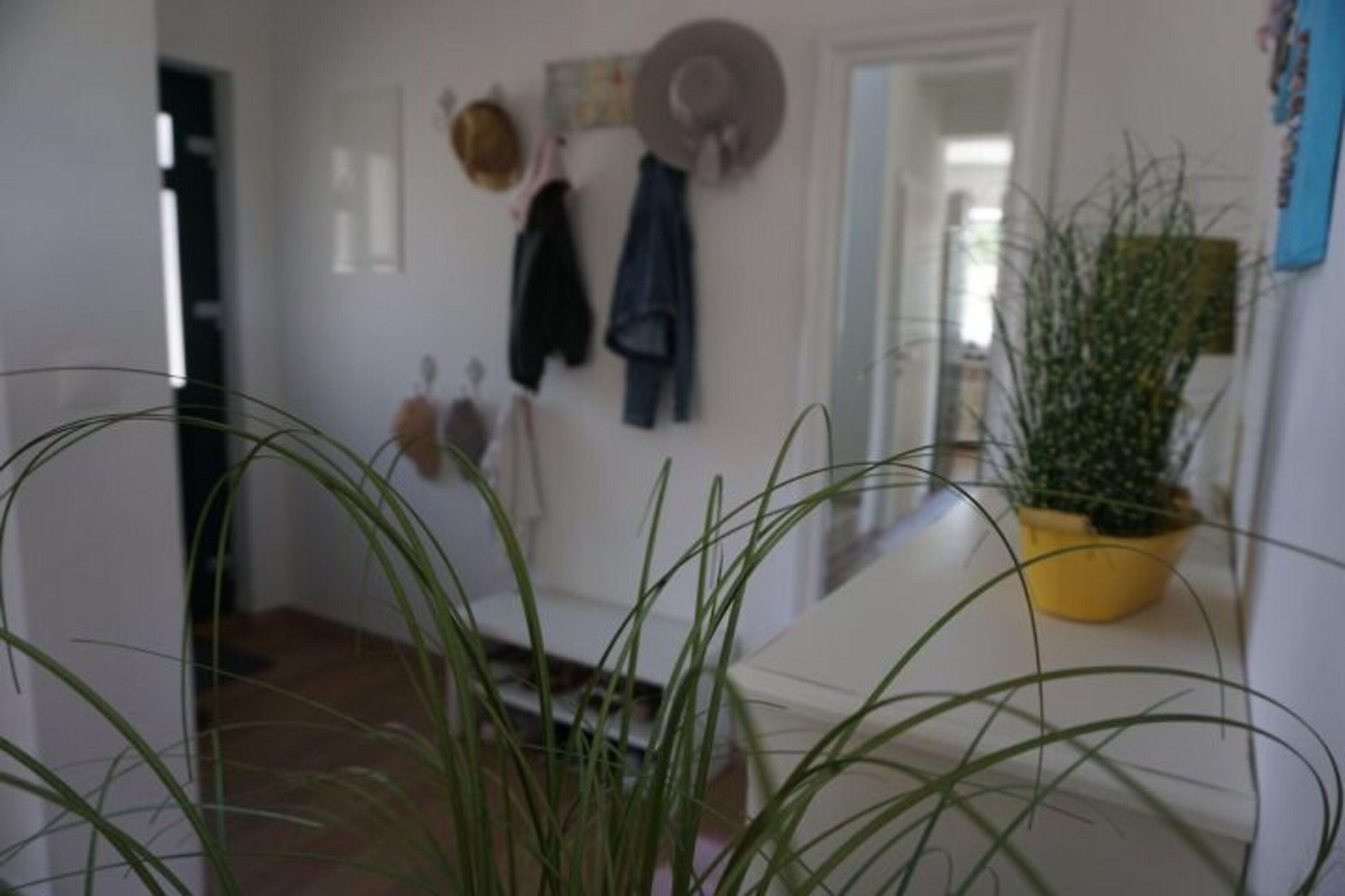 Blick aus den Wohnraum & auf die praktische Garderobe