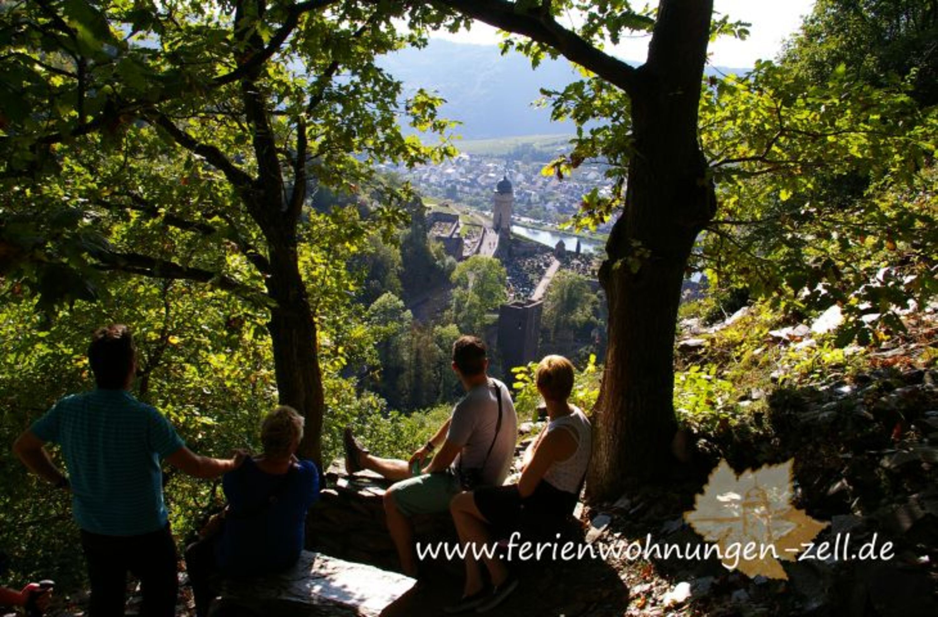 Wanderwege in Zell am Moselsteig