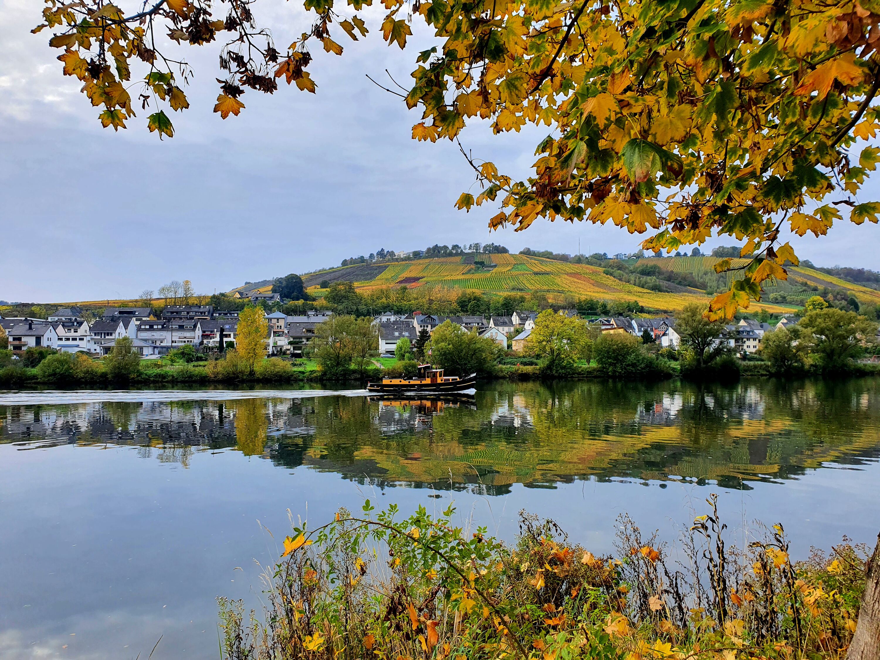 Herbst an der Mosel