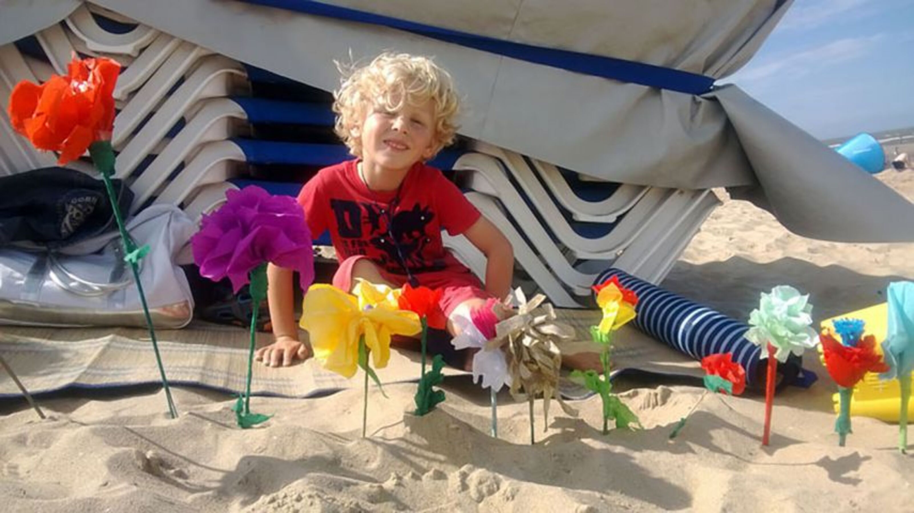 Strand De Haan