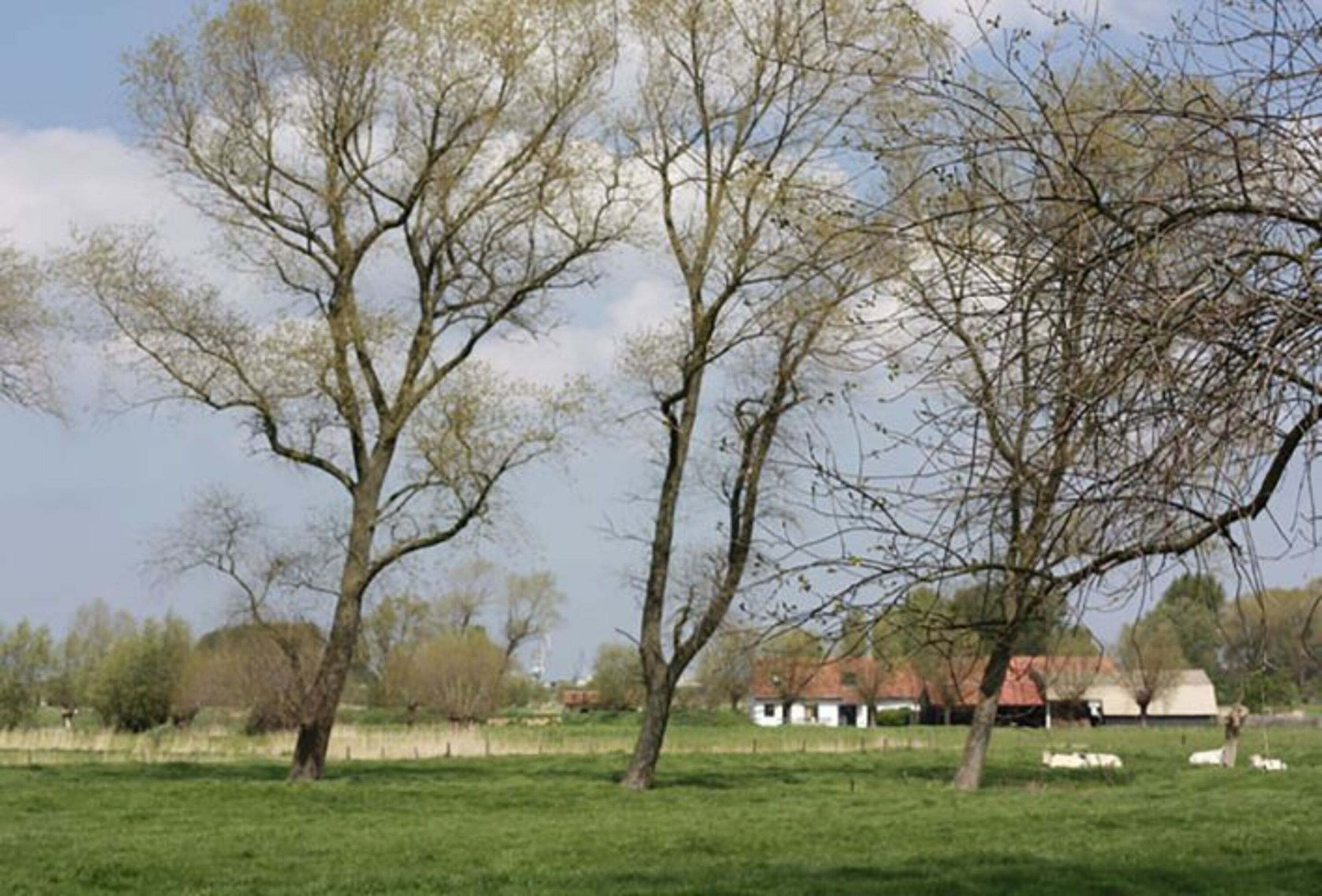 Brugge Ommeland