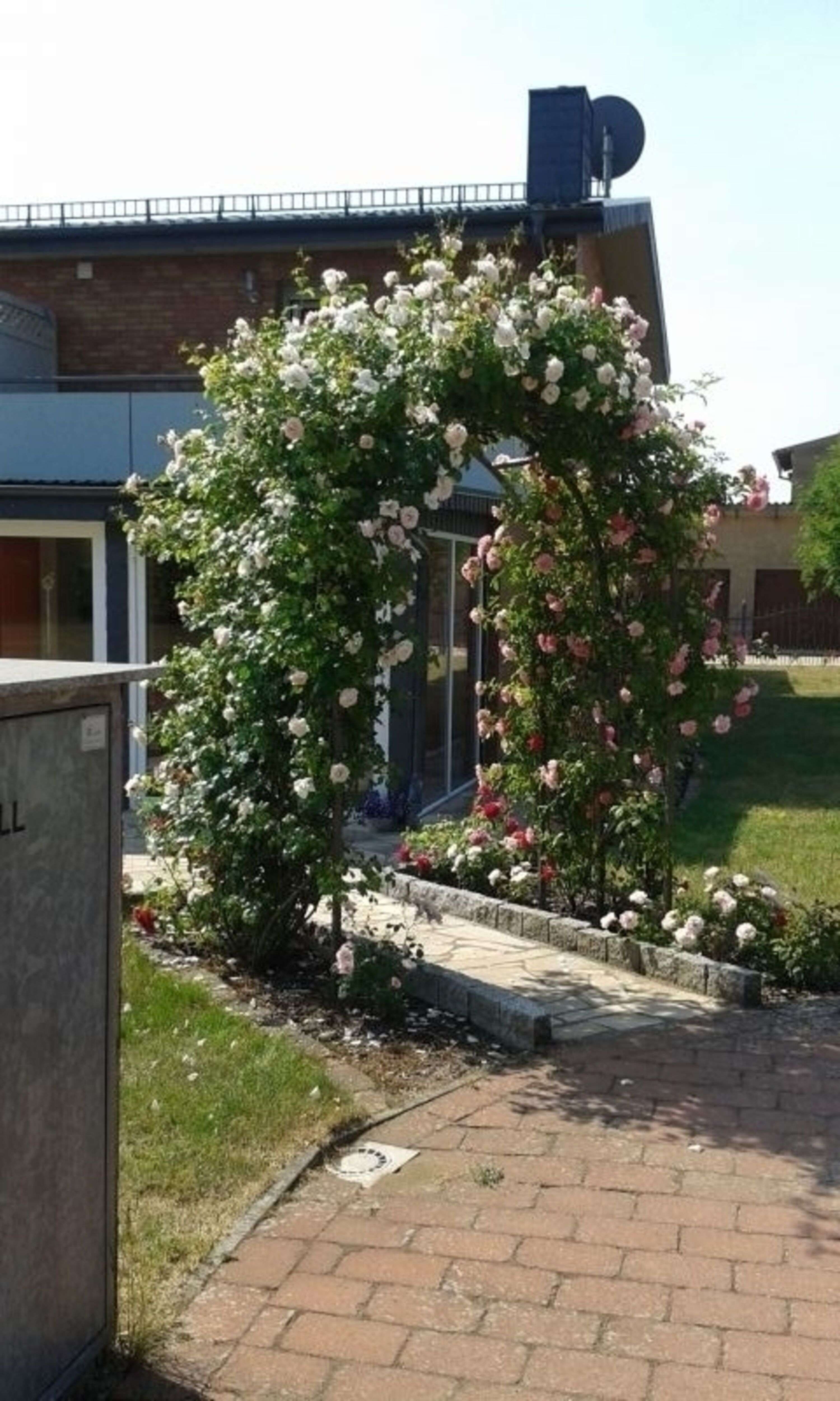 Rosenbogen