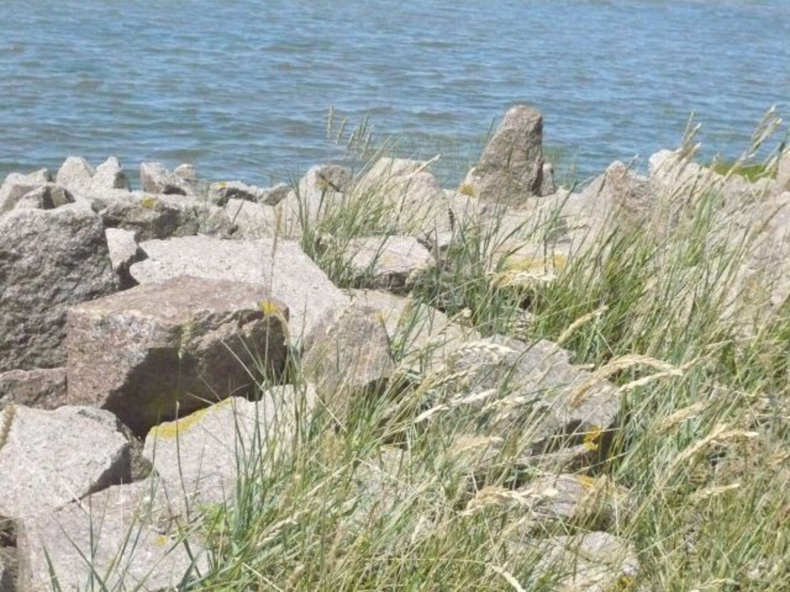 Momente am Meer ...