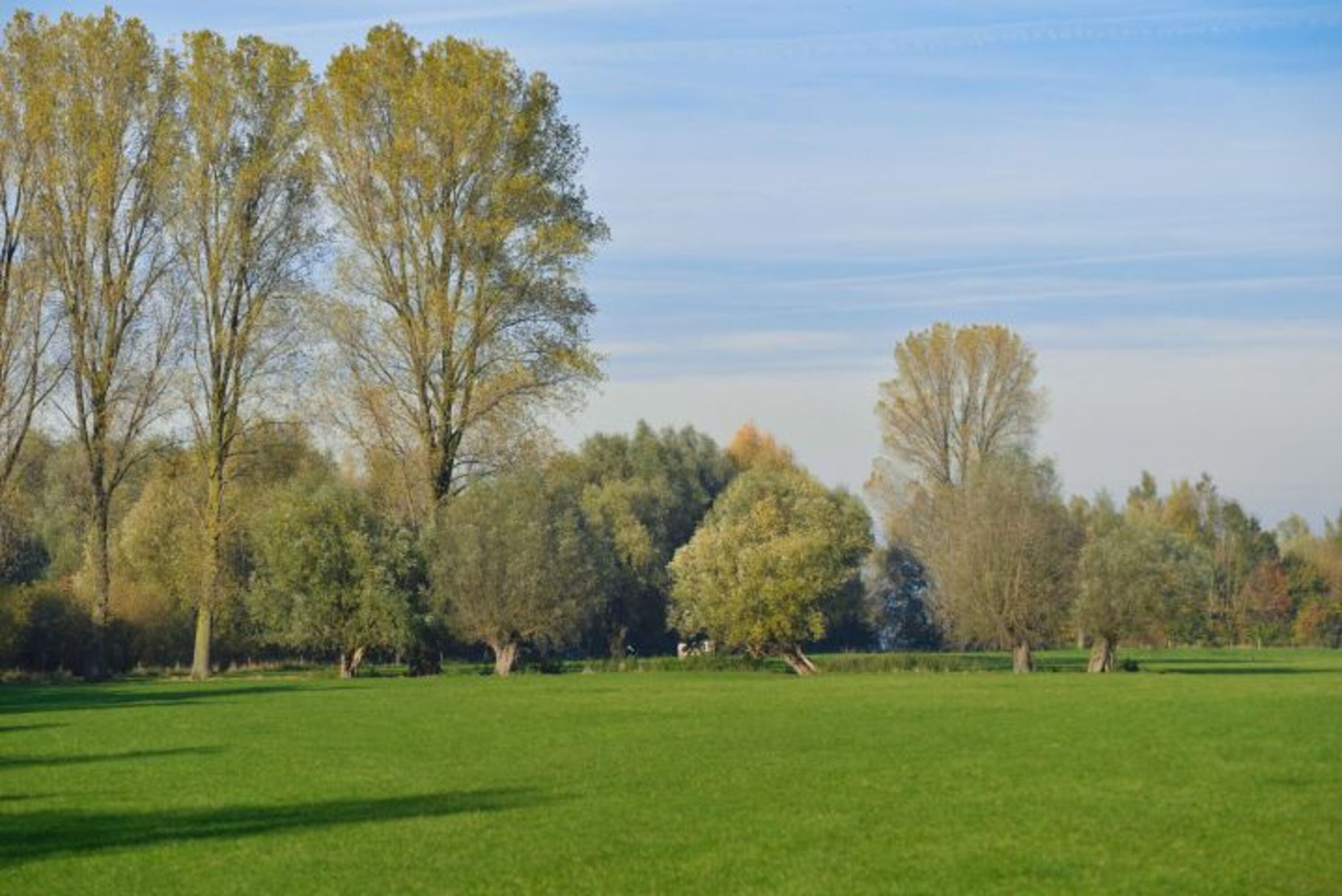 Bild 16