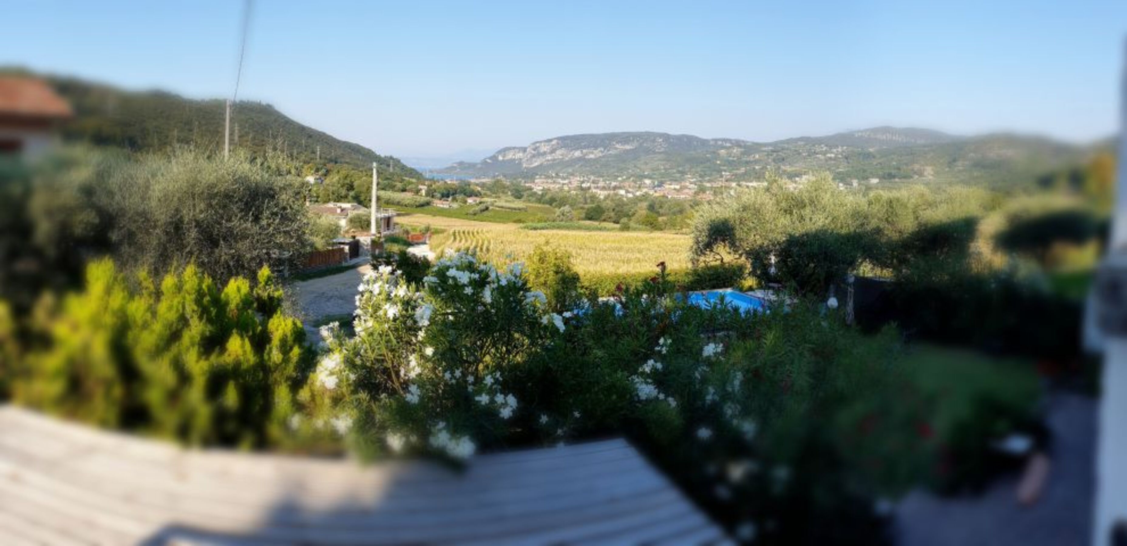 Panoramablick vom Haus aus!