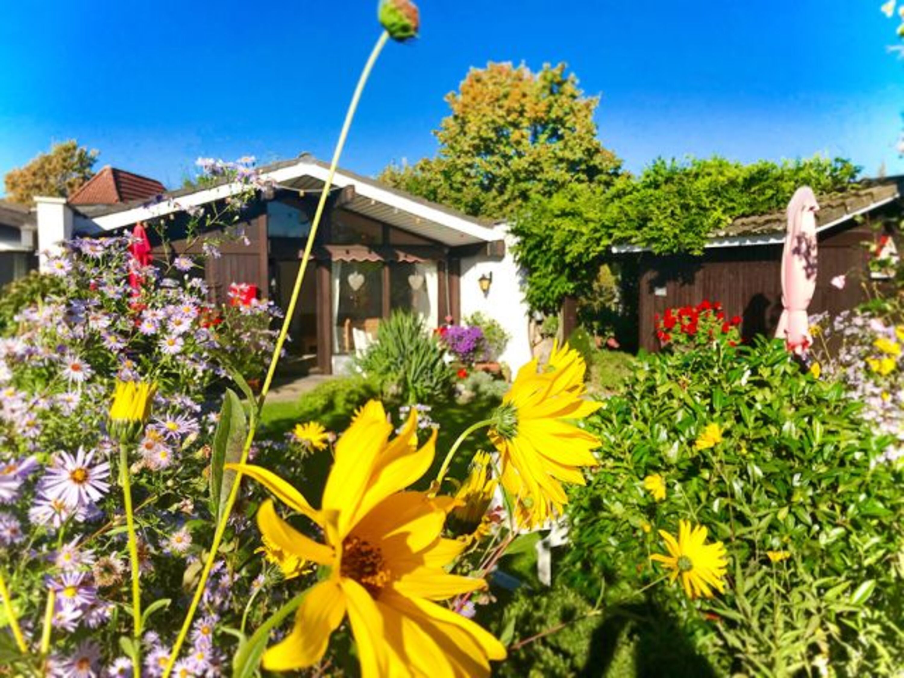 Spätsommer im FERIENCHALET WIKI