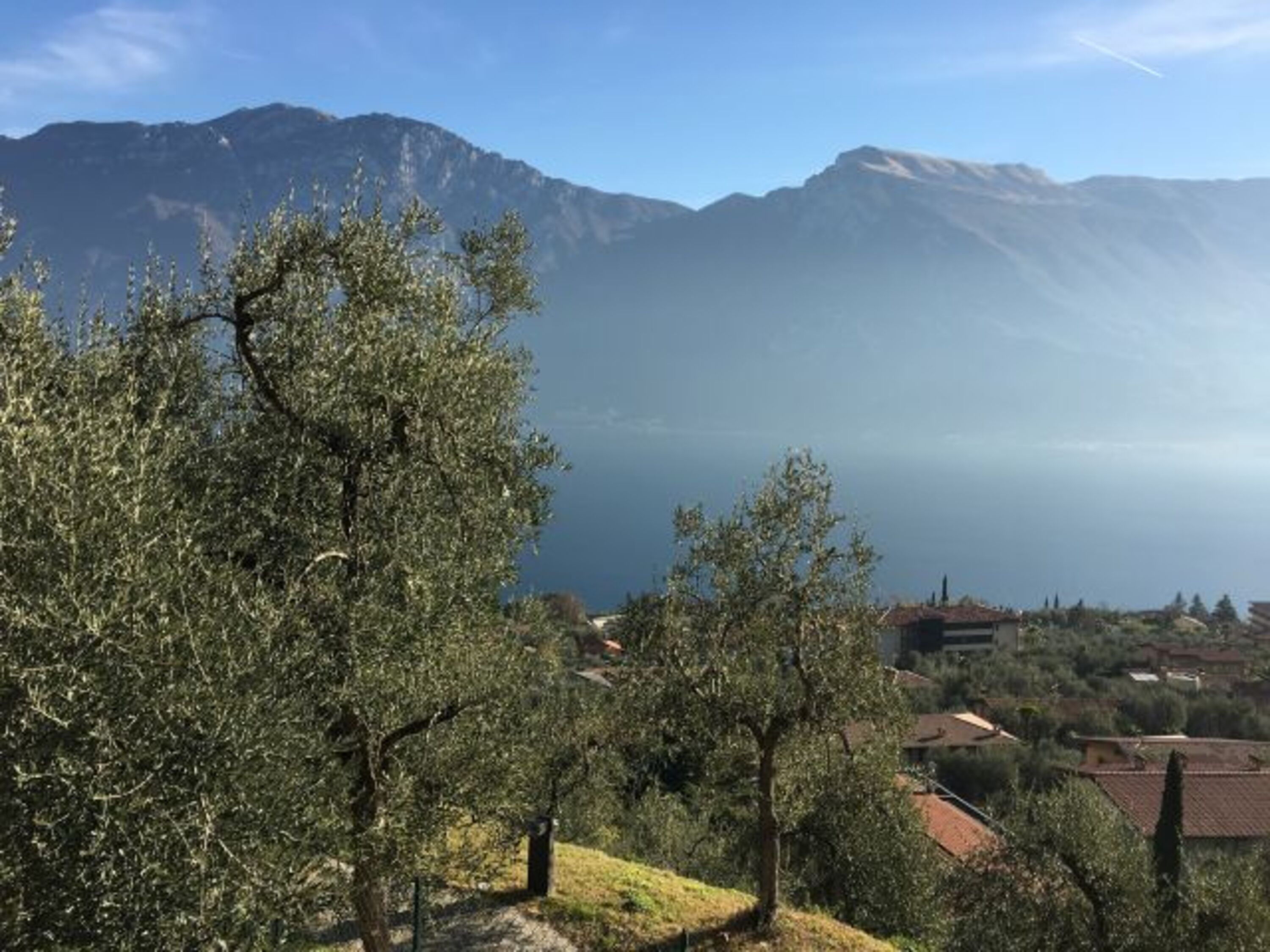 Bild 12