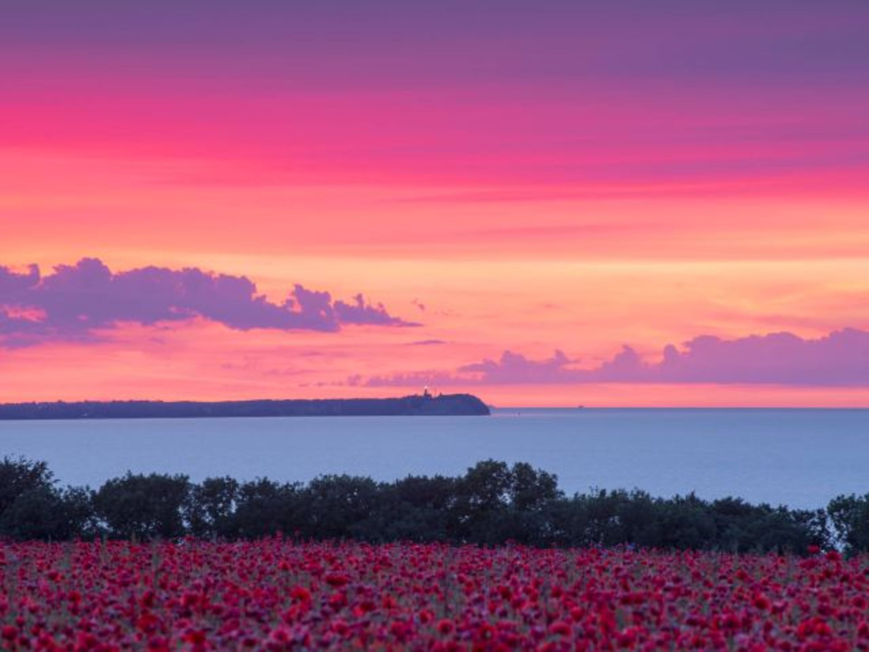 Der Frühsommer auf Rügen erwartet Dich mit solch feinen Aussichten.