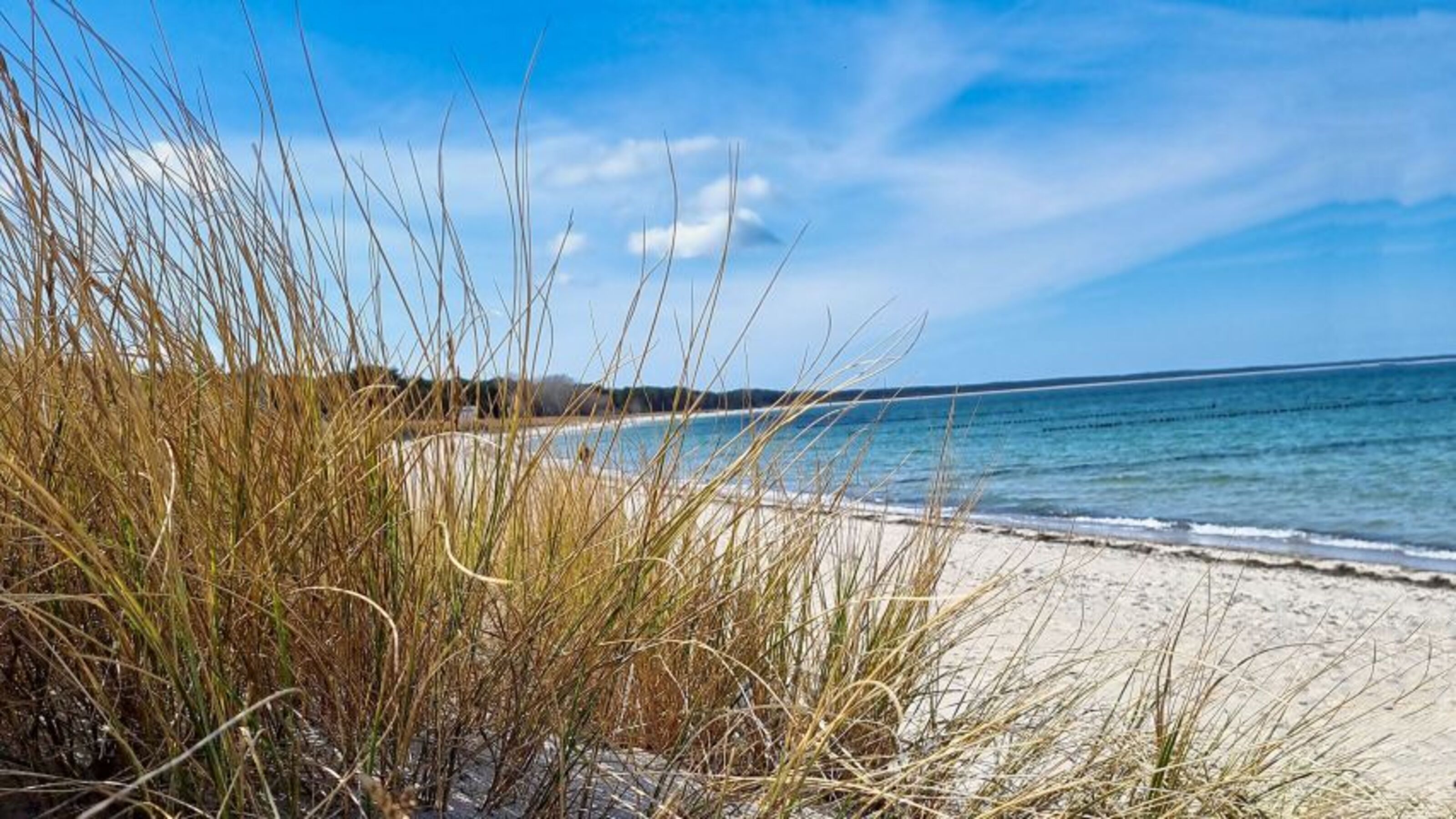 Traumhafte Sandstrände der Insel Rügen.