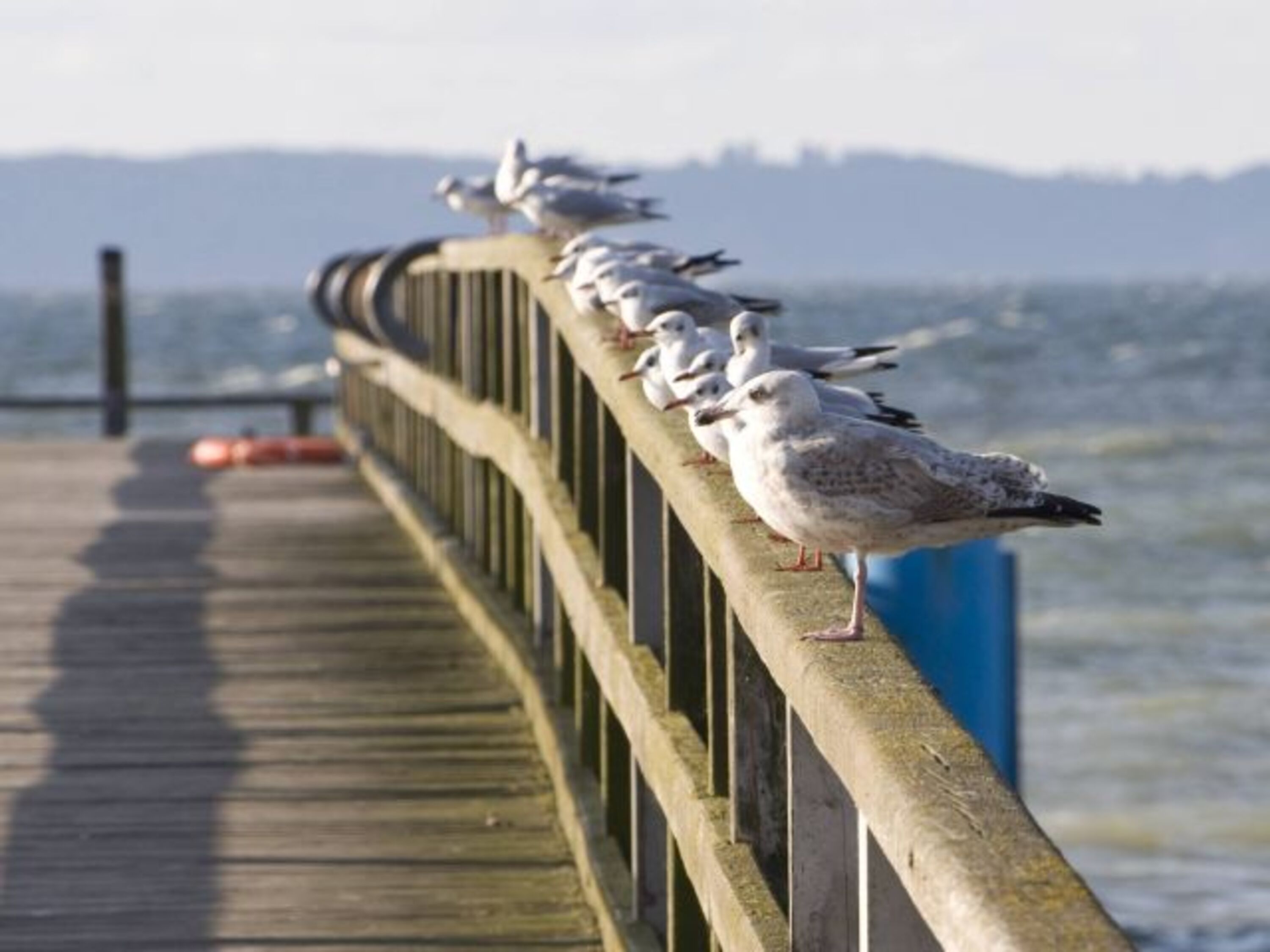 Romantik am Meer.