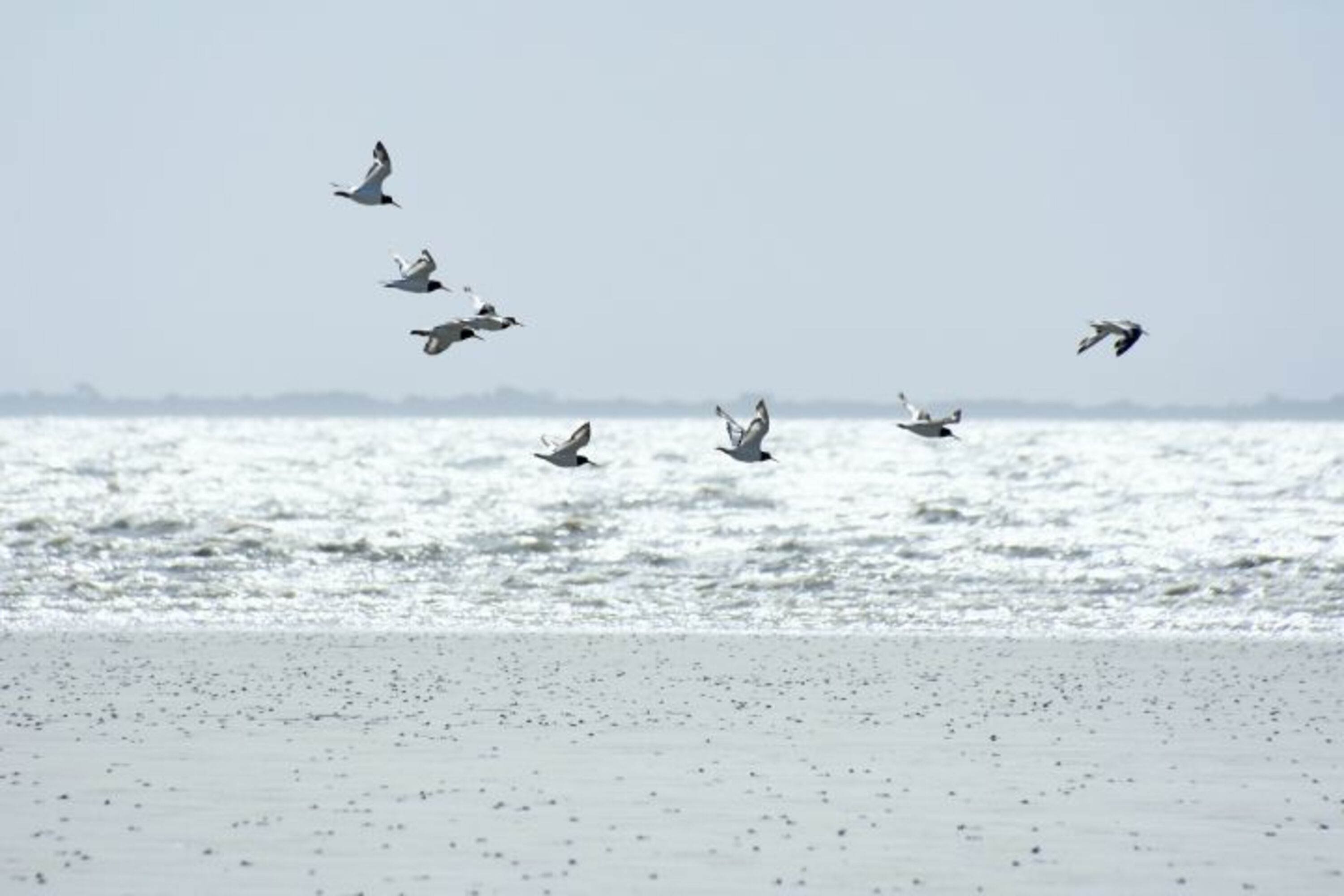 Bild 20