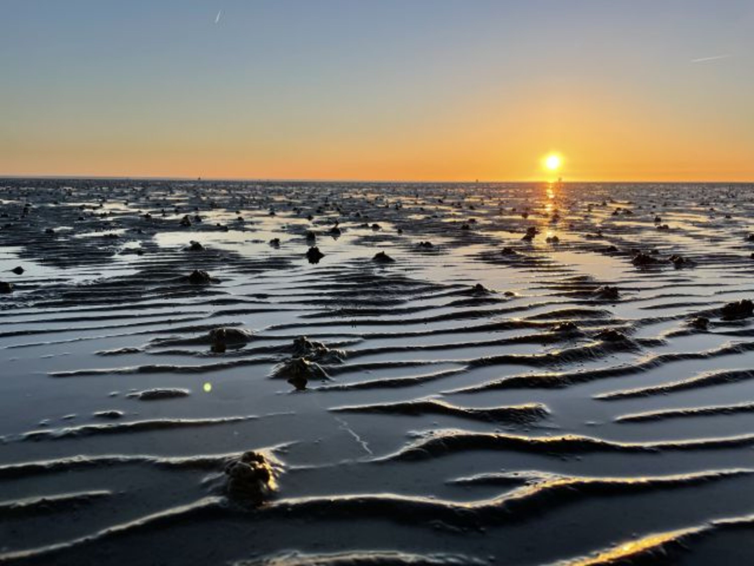 Watt im Sonnenuntergang