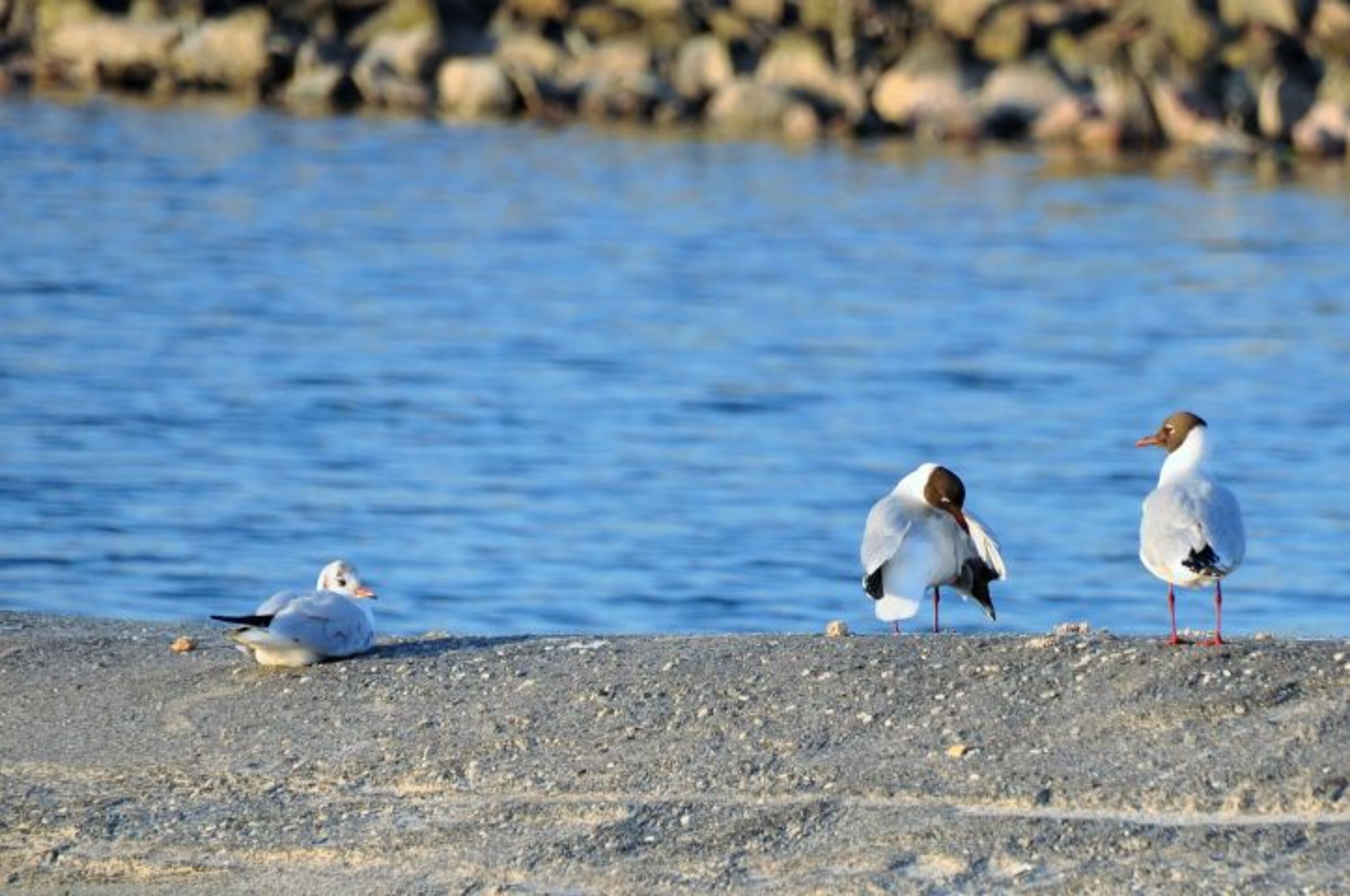 Bild 16