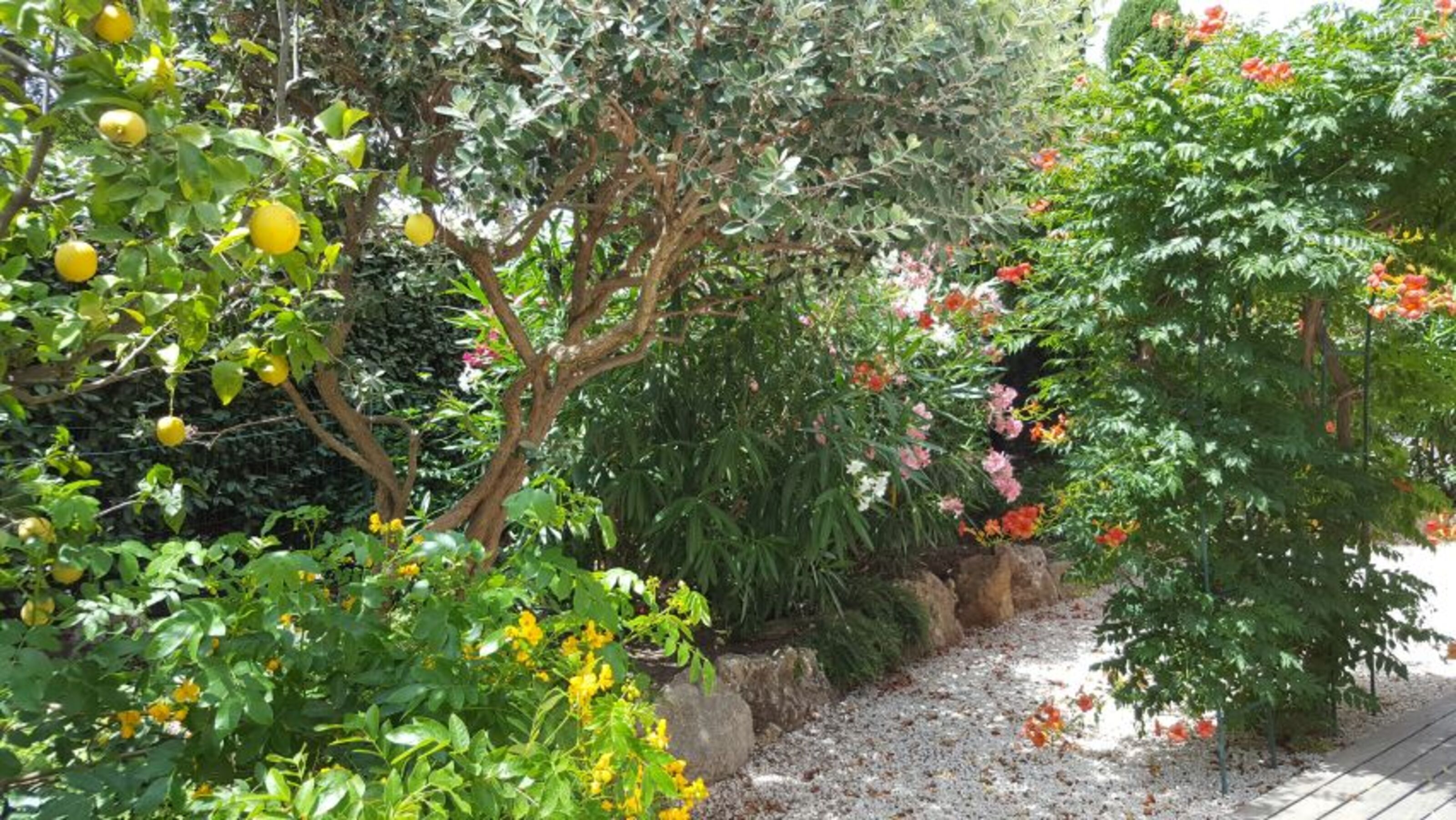 Im Garten um die Ecke