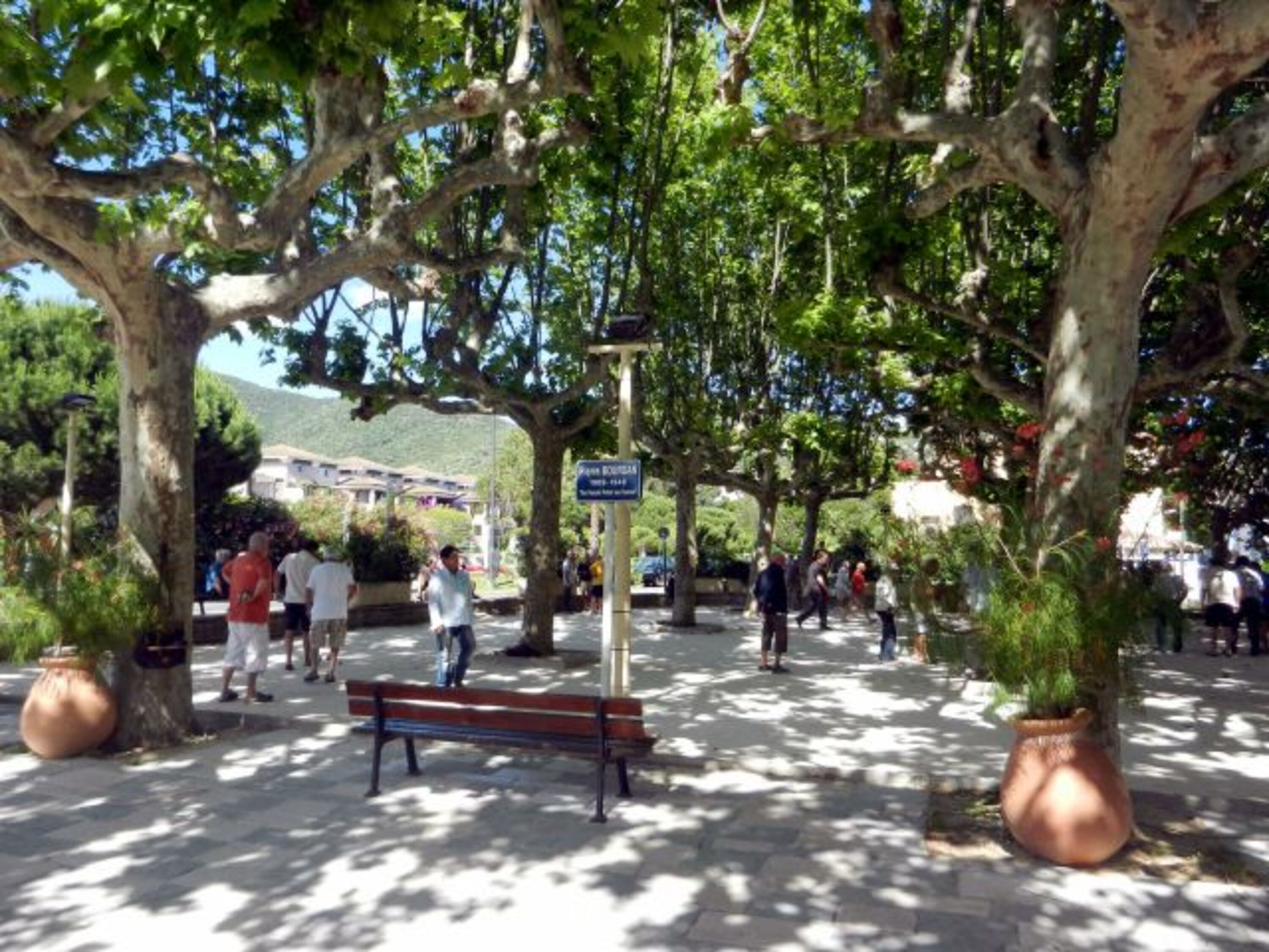 Pétanque