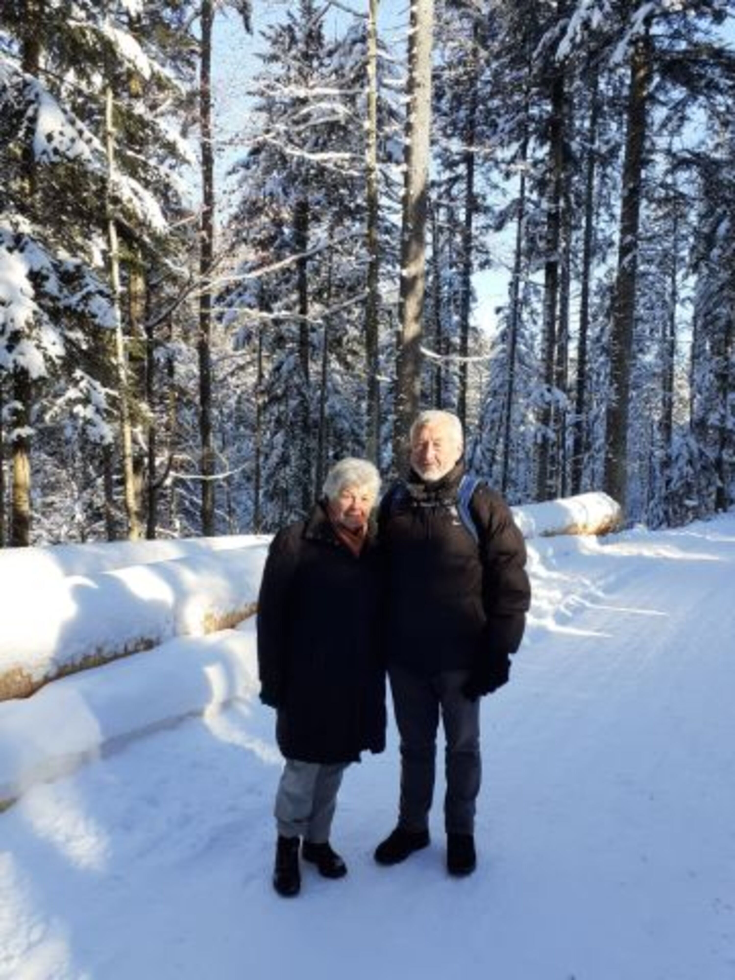 Wintertraum
