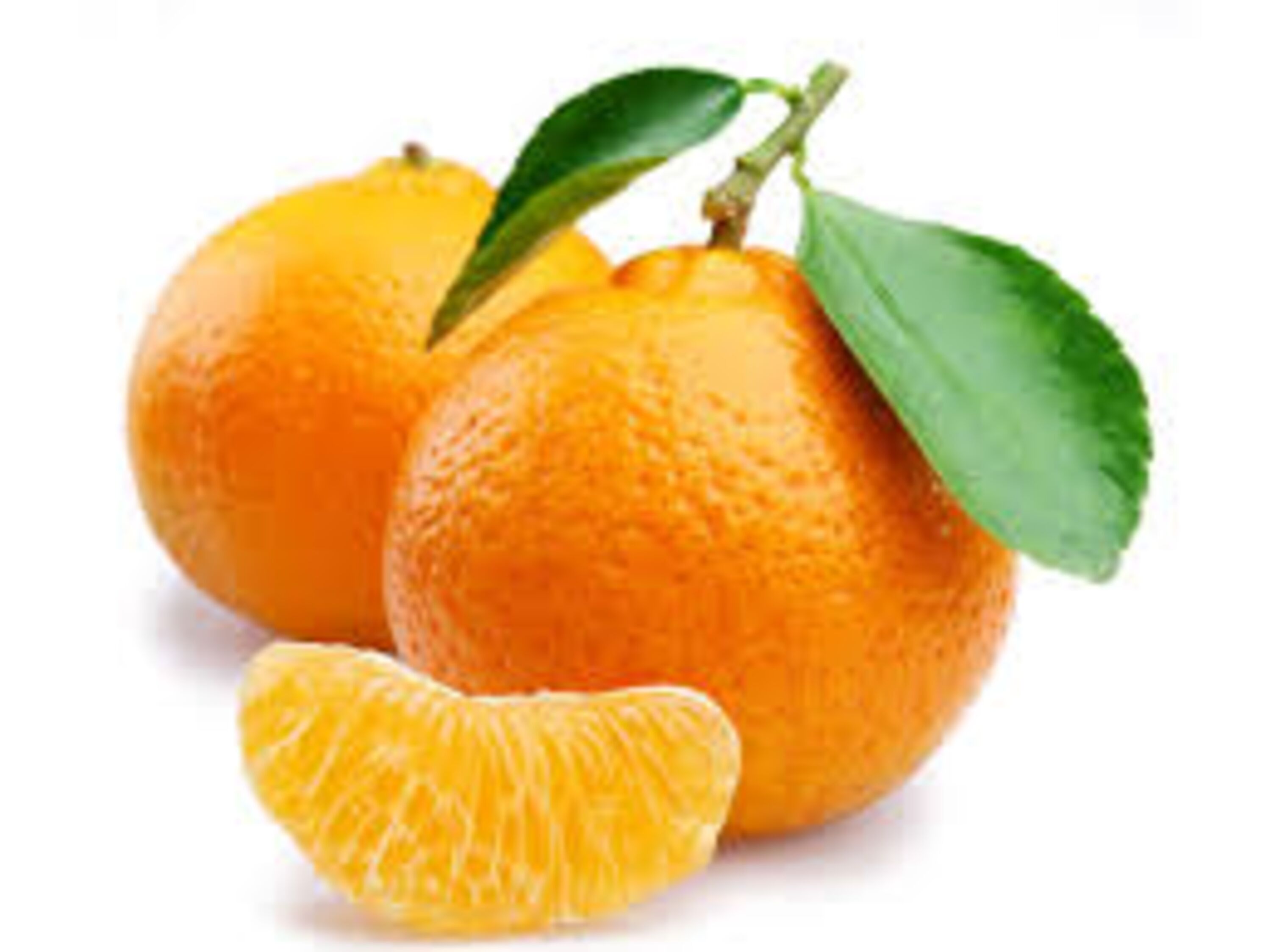 Mandarino